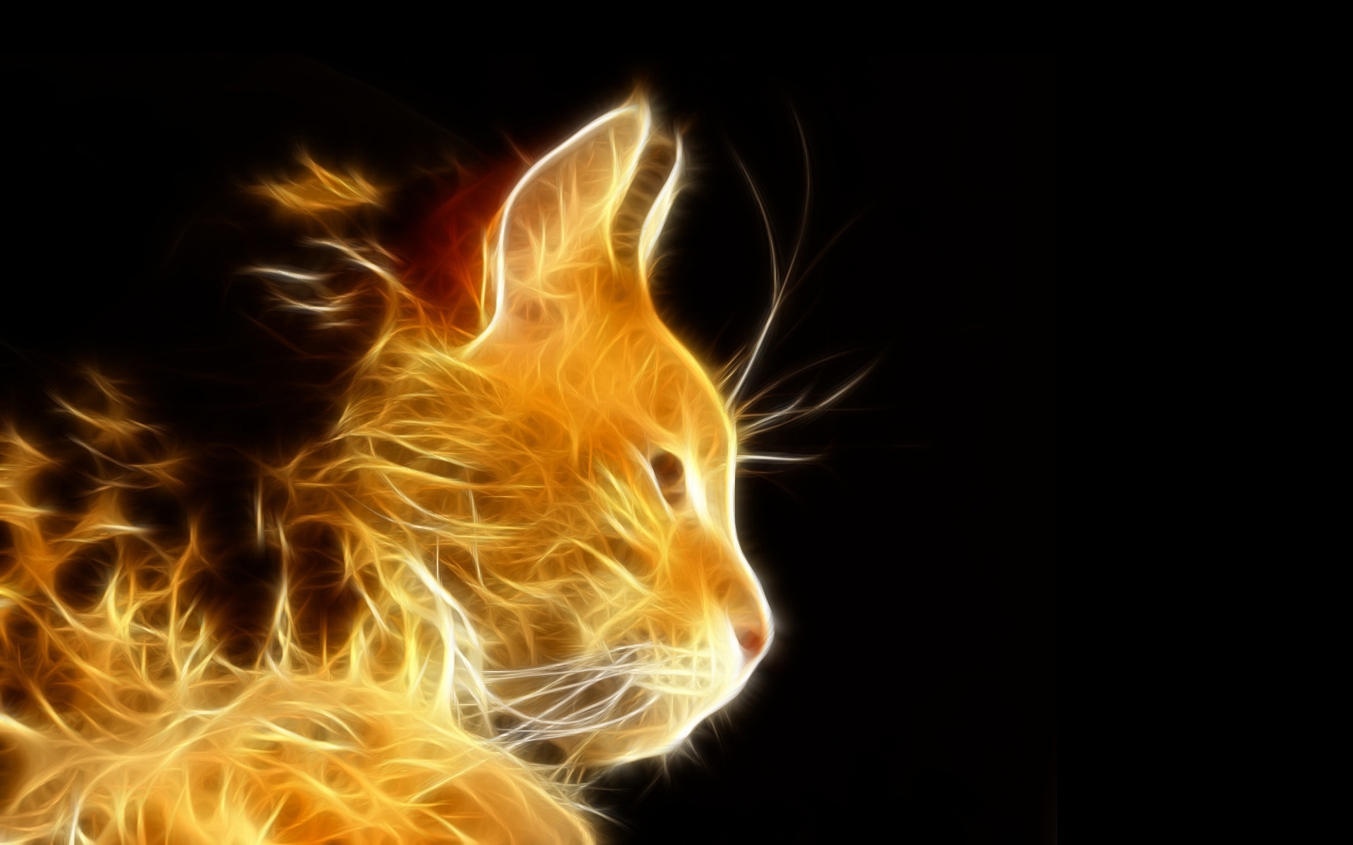 Wallpapers wallpaper cat photoshop flames on the desktop