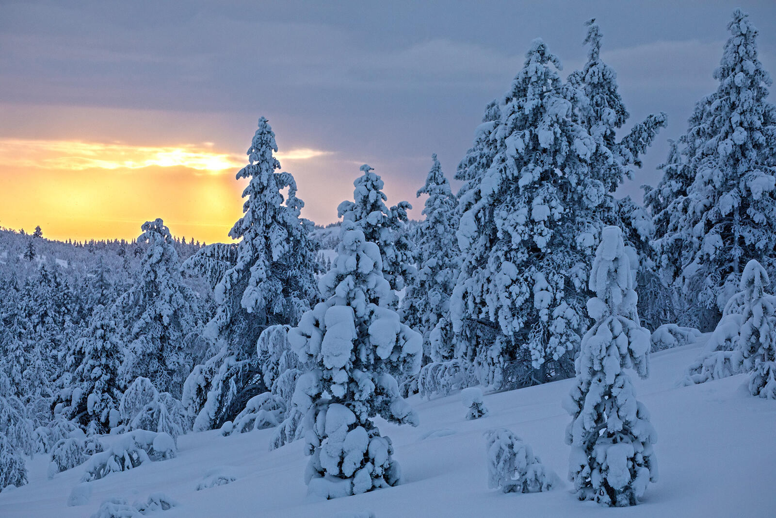 Обои зима пейзаж Финляндия на рабочий стол