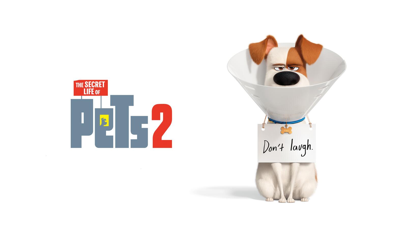 Wallpapers the secret life of pets 2 animation dog on the desktop