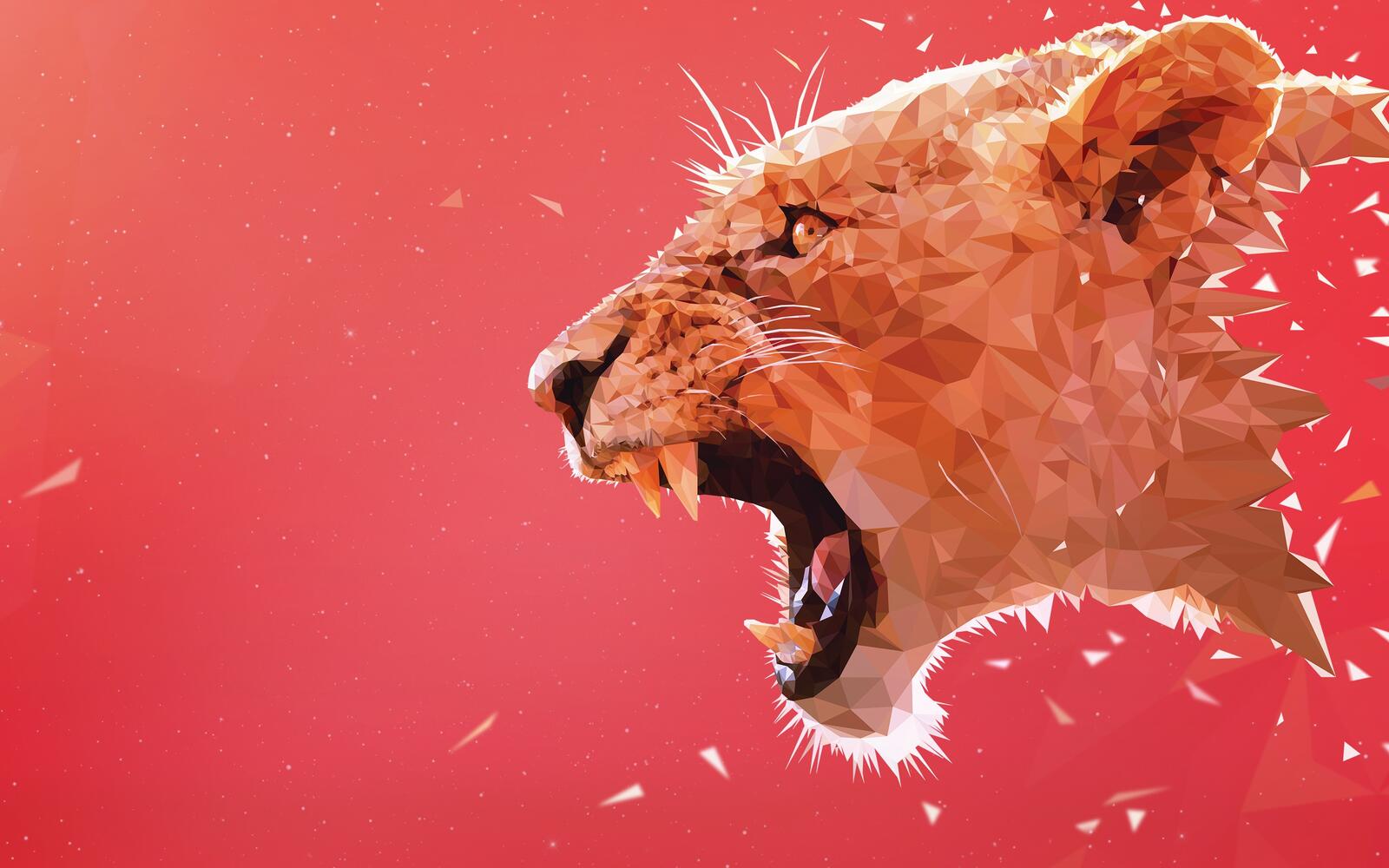 Wallpapers tiger roaring low poly on the desktop