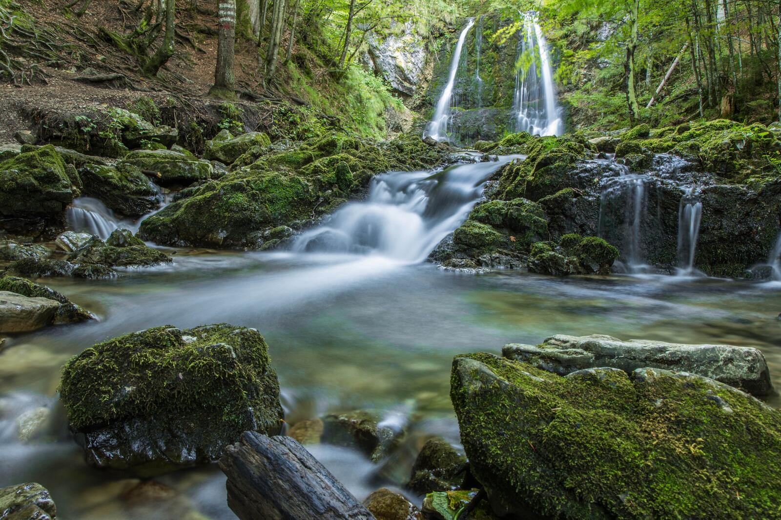 Бесплатное фото Водопад в джунглях среди камней