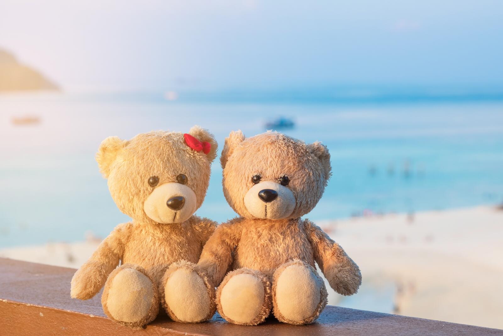 桌面上的壁纸玩具熊 填充动物 海滩