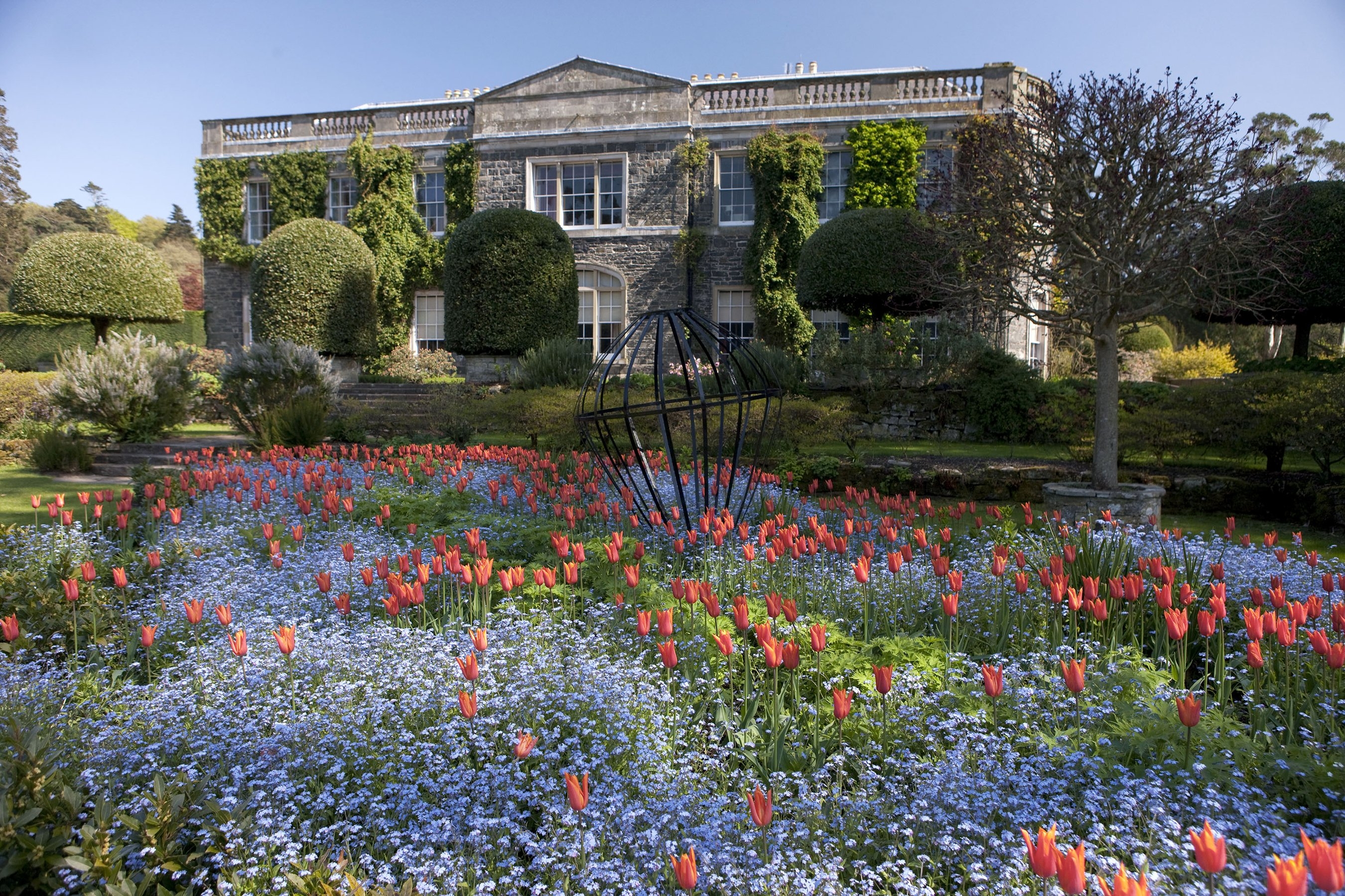Фото сад тюльпаны Ирландия - бесплатные картинки на Fonwall