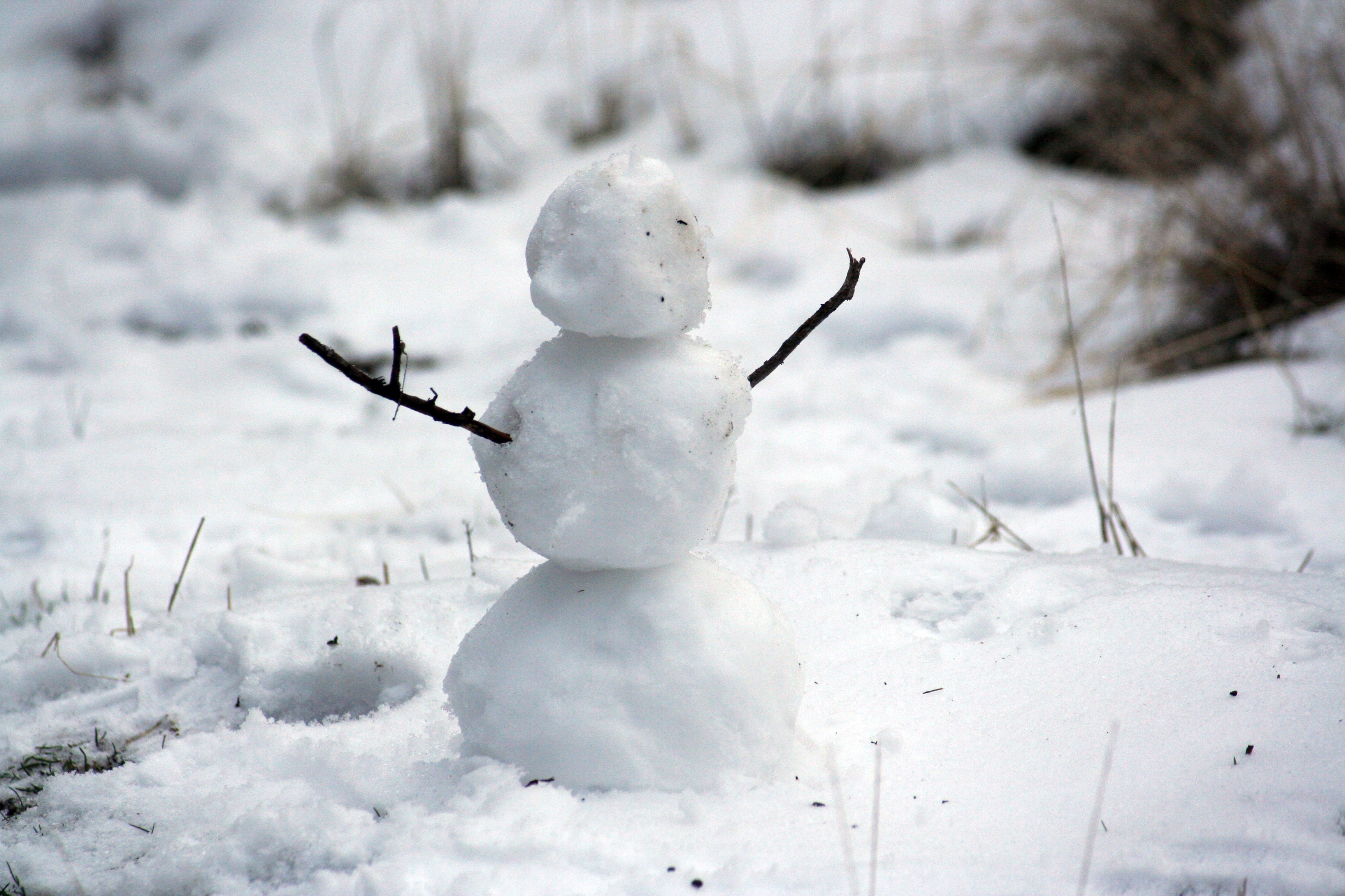 Фото бесплатно снеговик, природа, снег