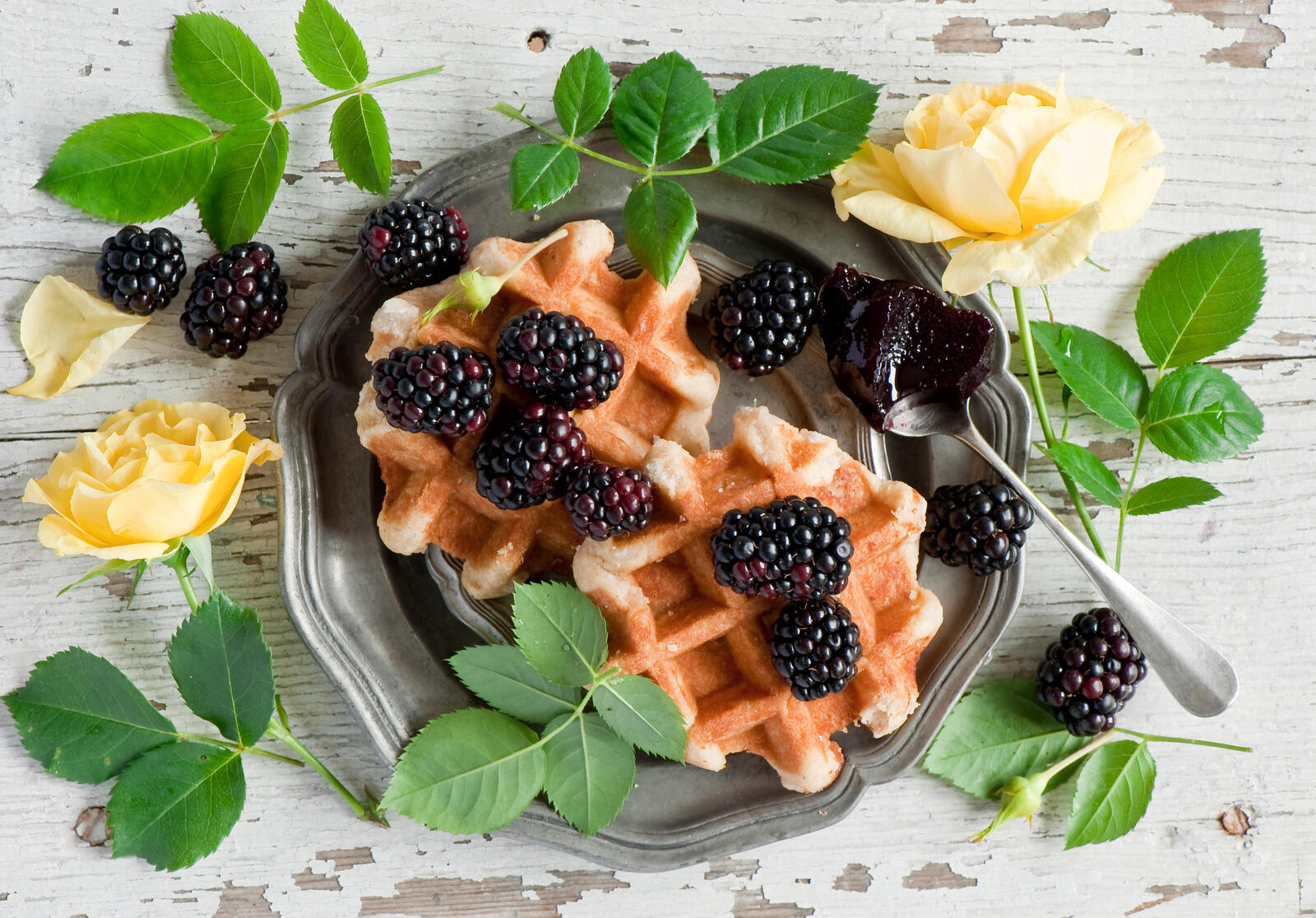 Wallpapers waffles blackberries berries on the desktop