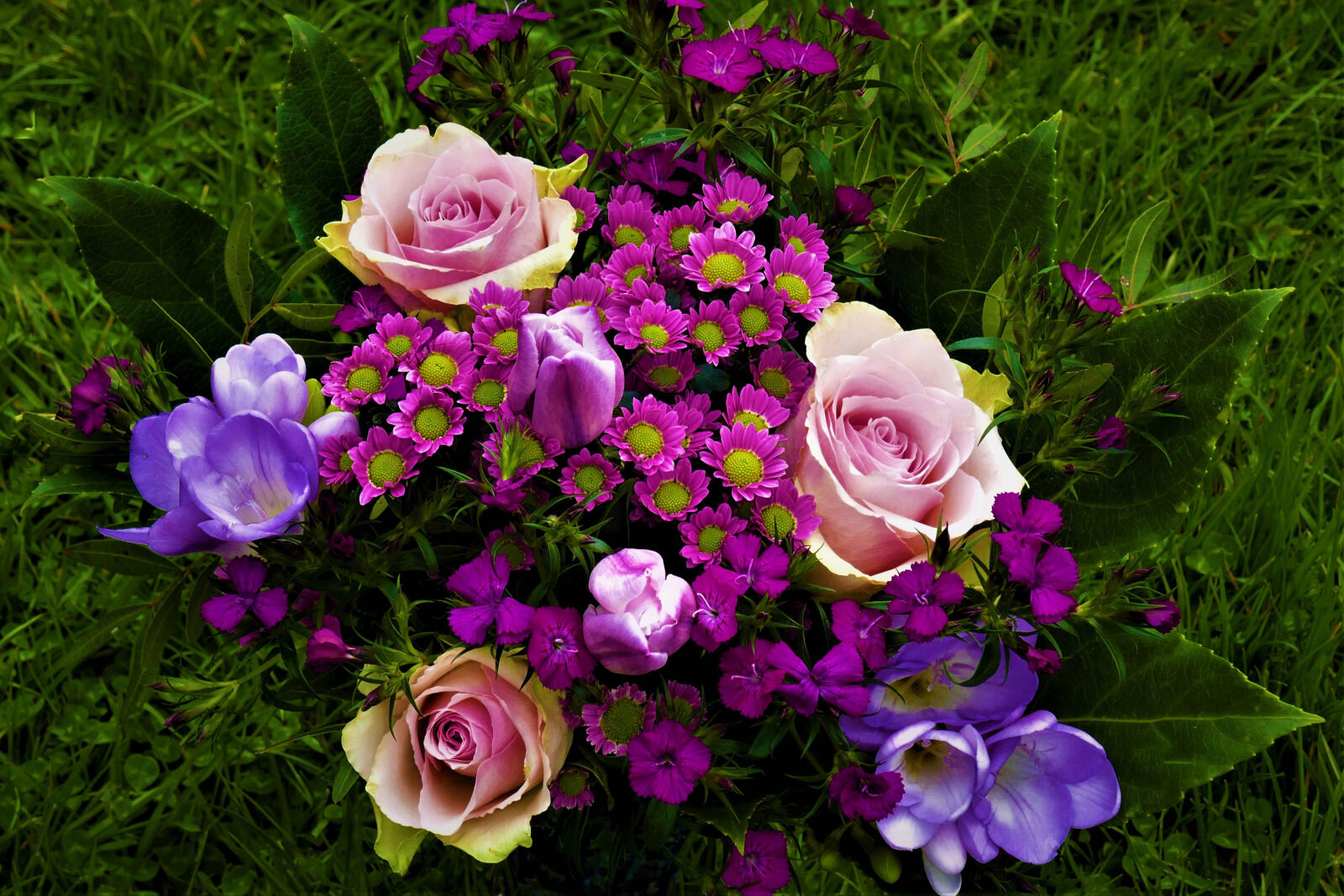 Обои букеты тюльпанов роза цветы на рабочий стол