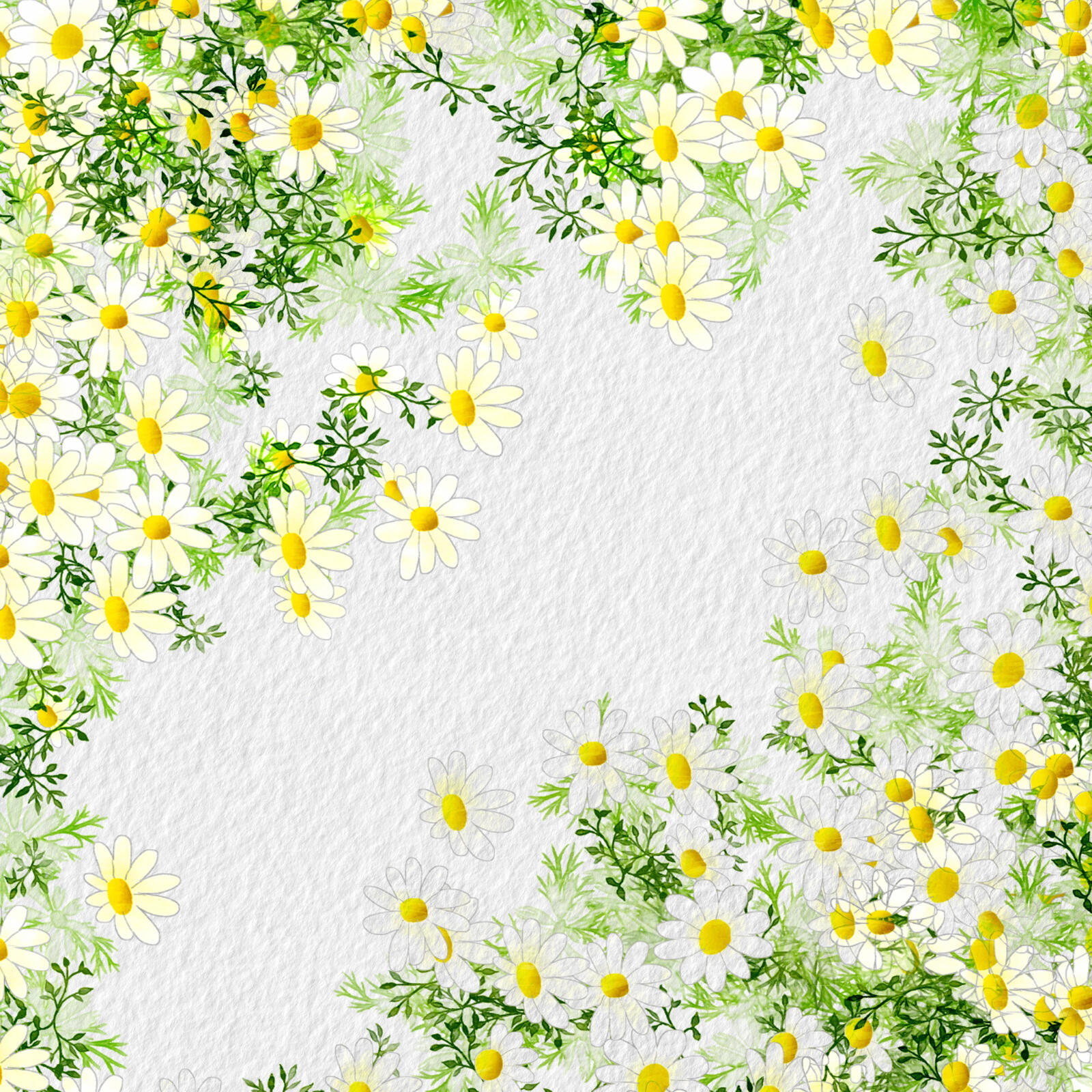 Wallpapers flower textures paper on the desktop