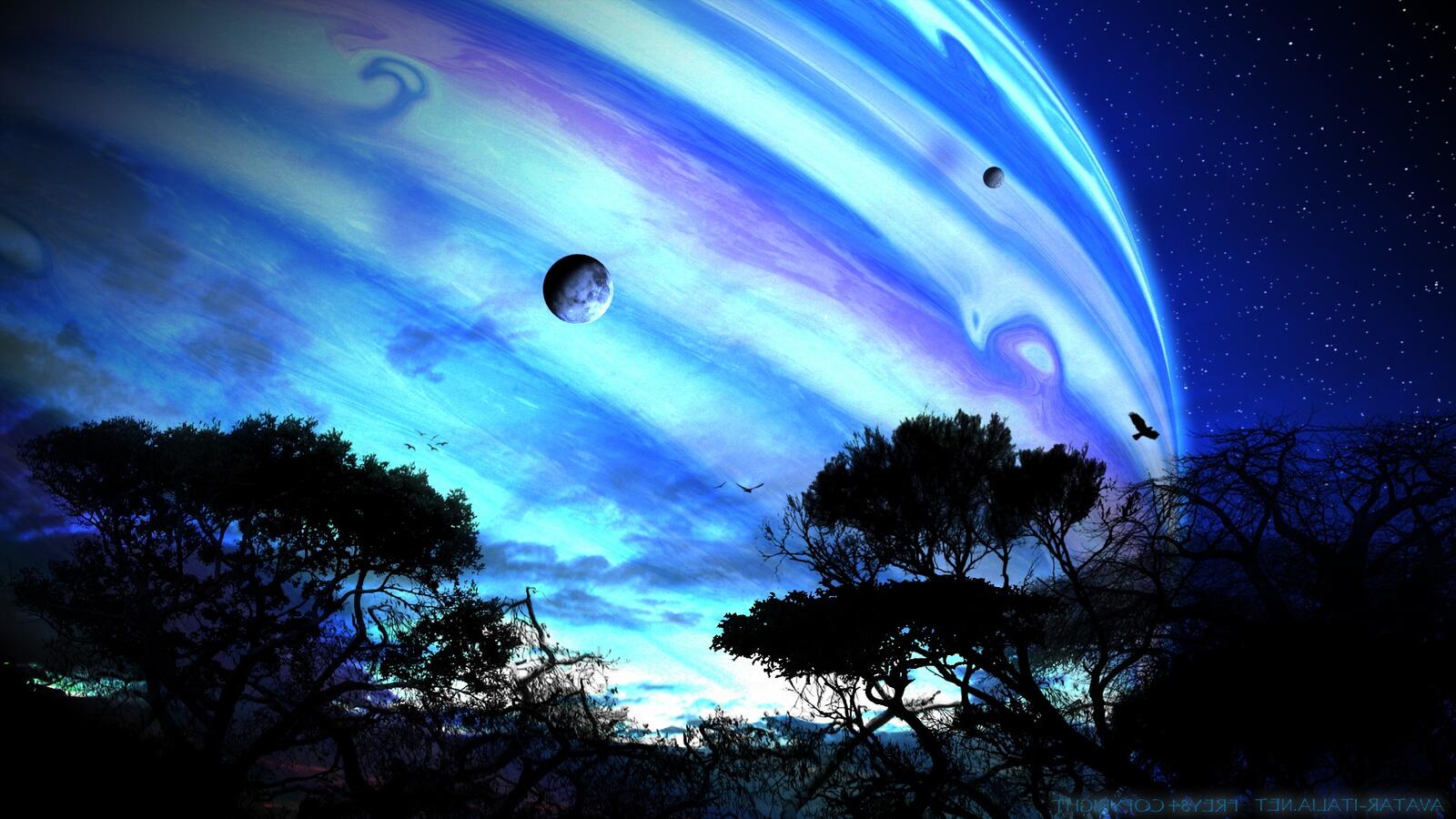 Wallpapers planet trees planets on the desktop