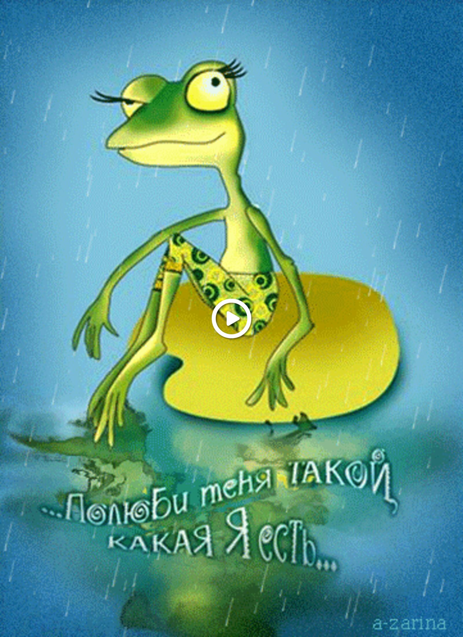 dream frog rain
