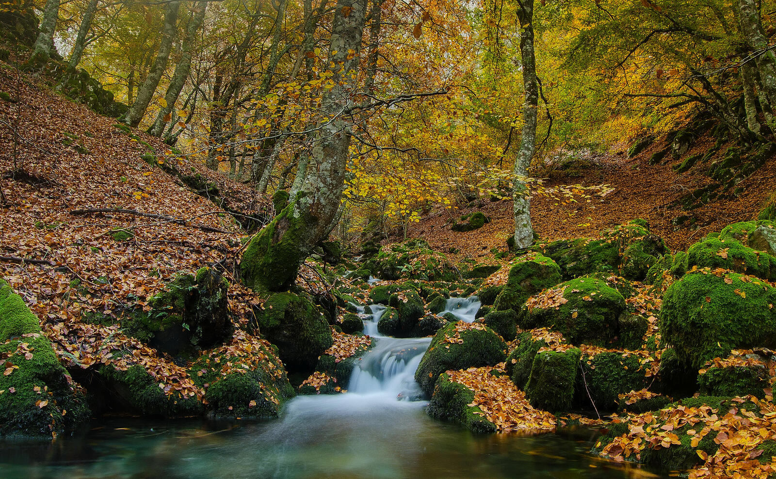 Wallpapers forest autumn waterfall river on the desktop