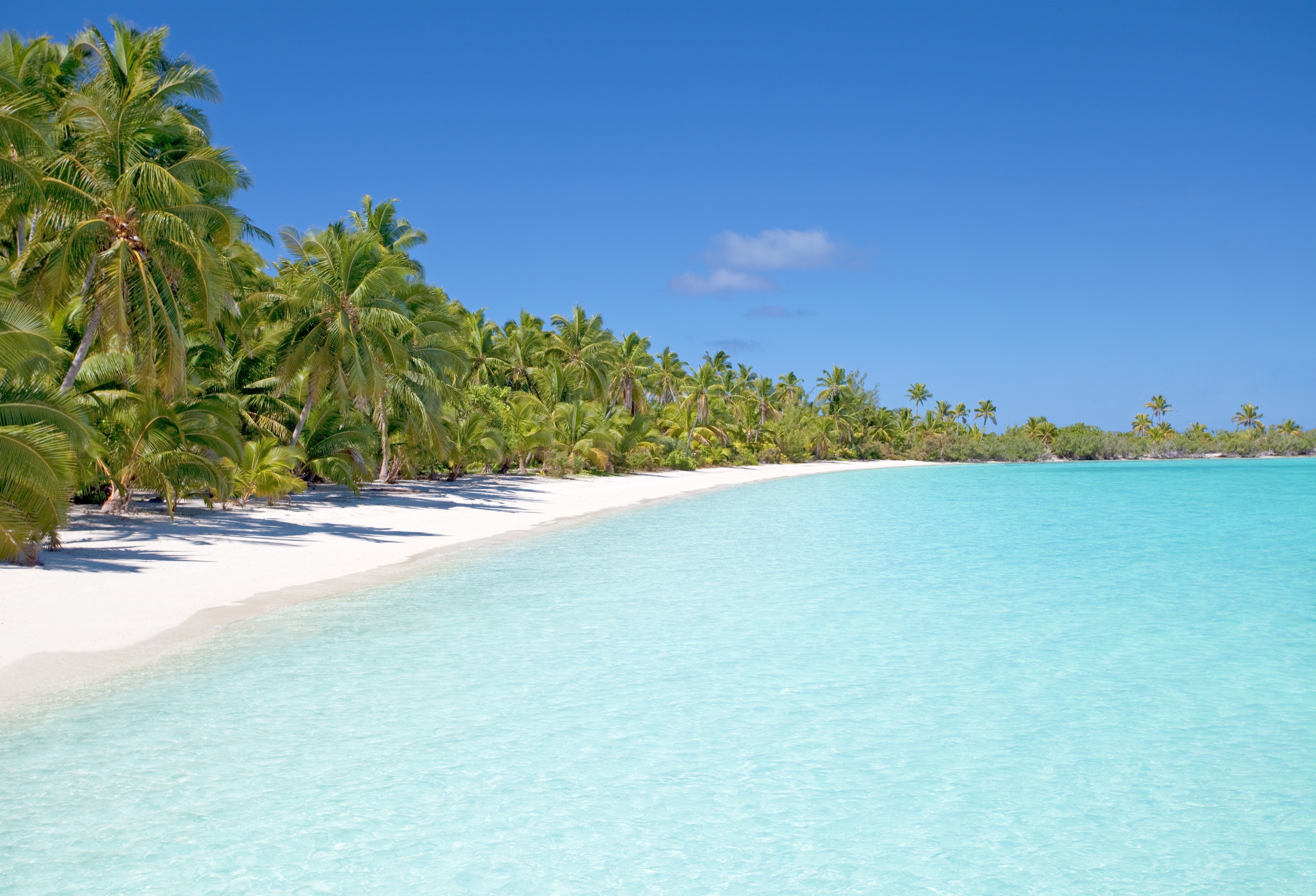 Photo free beach, body of water, caribbean