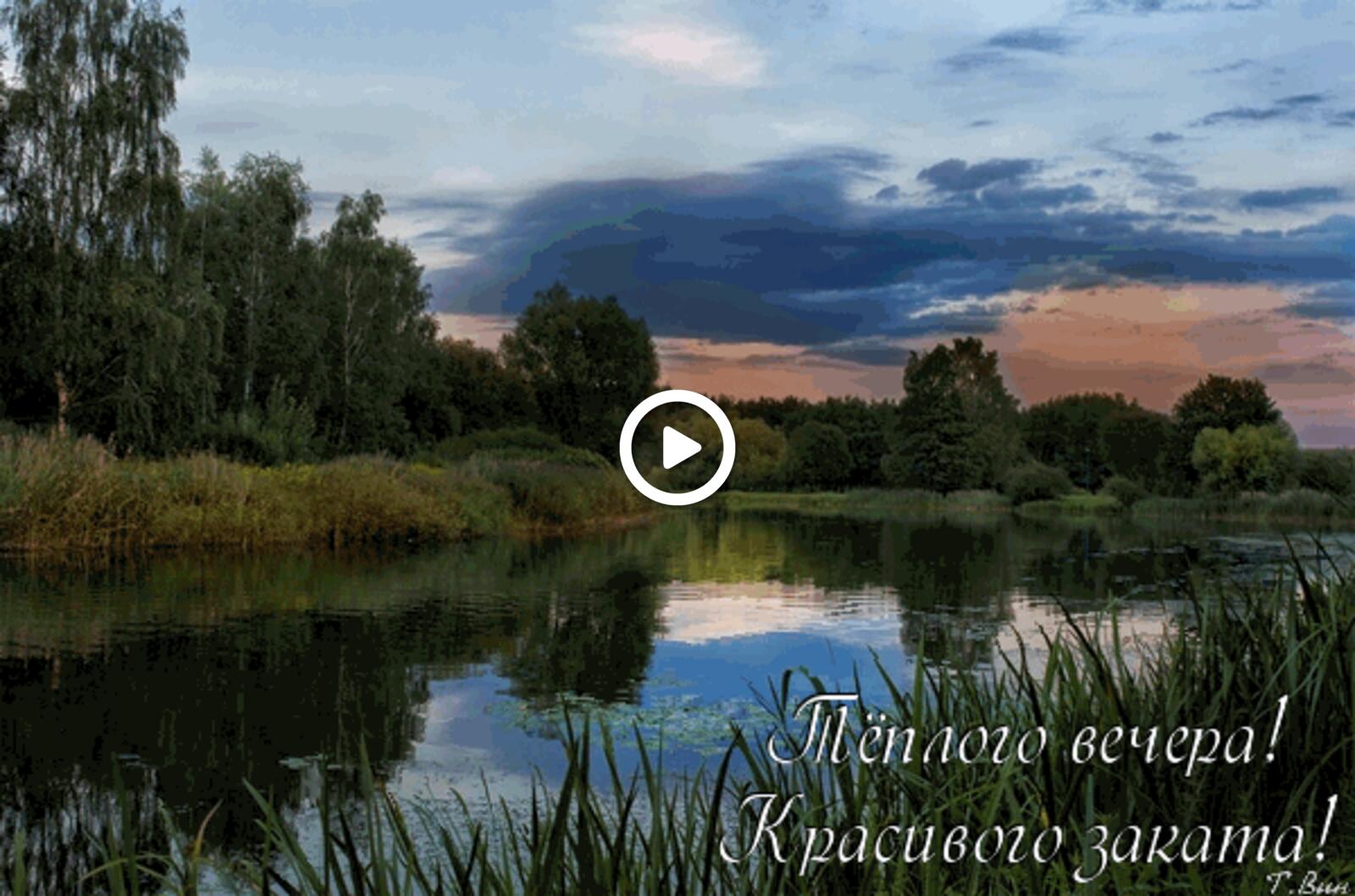 congratulations moscow evenings summer river sunset nature