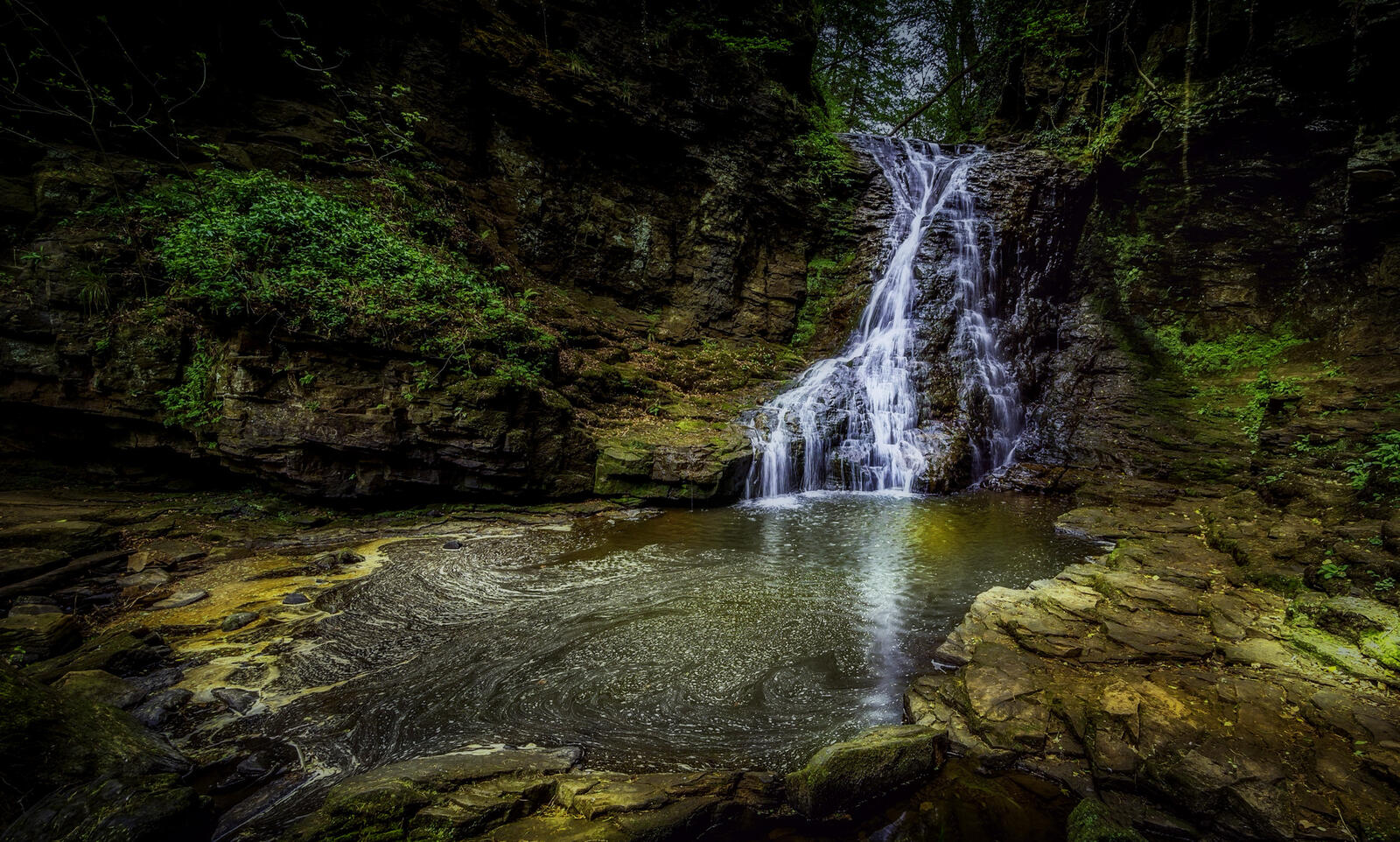 Free photo Beautiful wallpaper forest, waterfall, rocks desktop