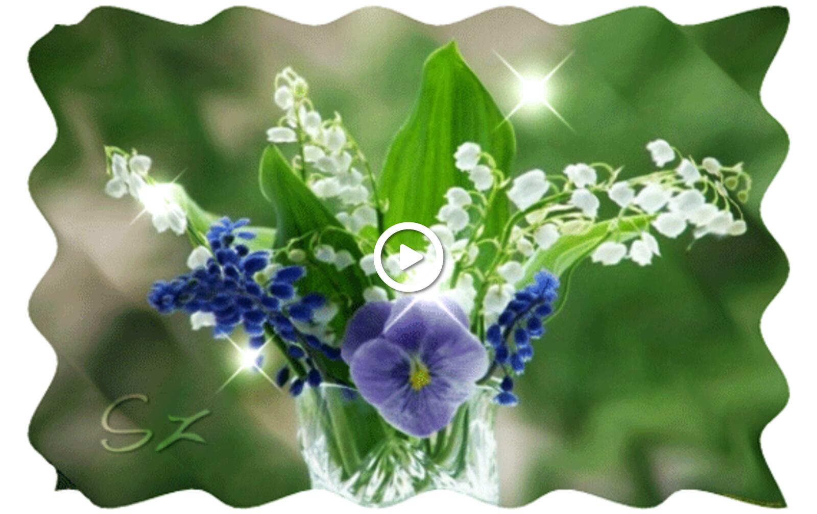 lily of the valley flowers flowers blue