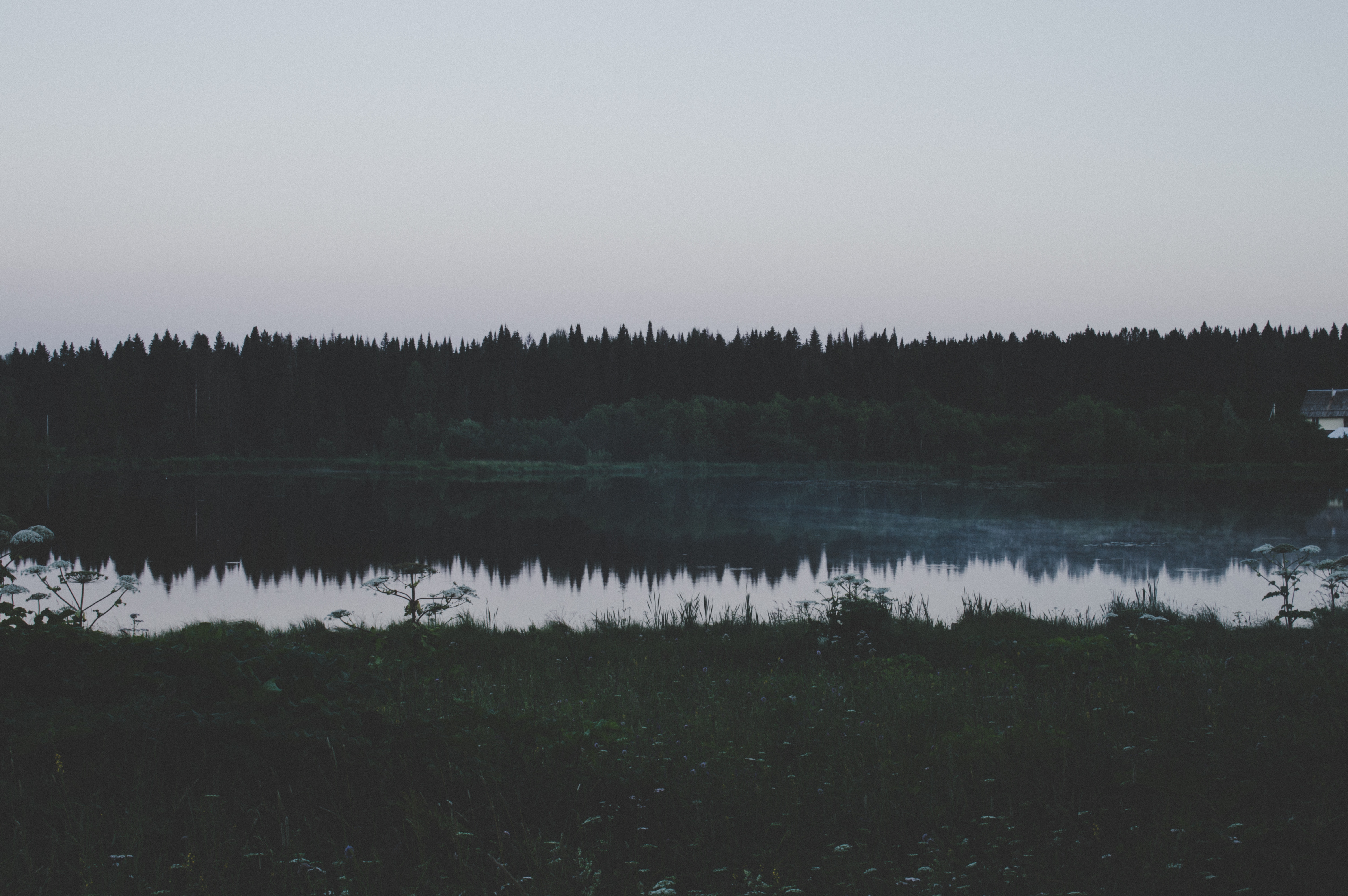 Бесплатное фото Озеро в лесу
