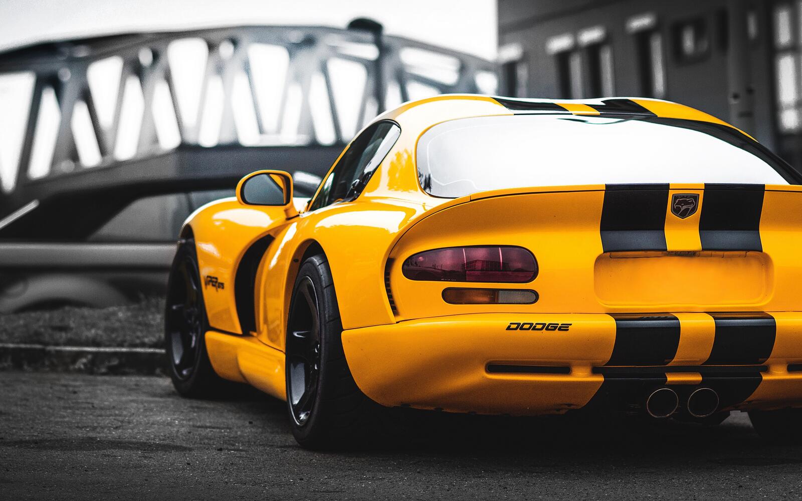 Wallpapers muscle cars view from behind wallpaper dodge viper on the desktop
