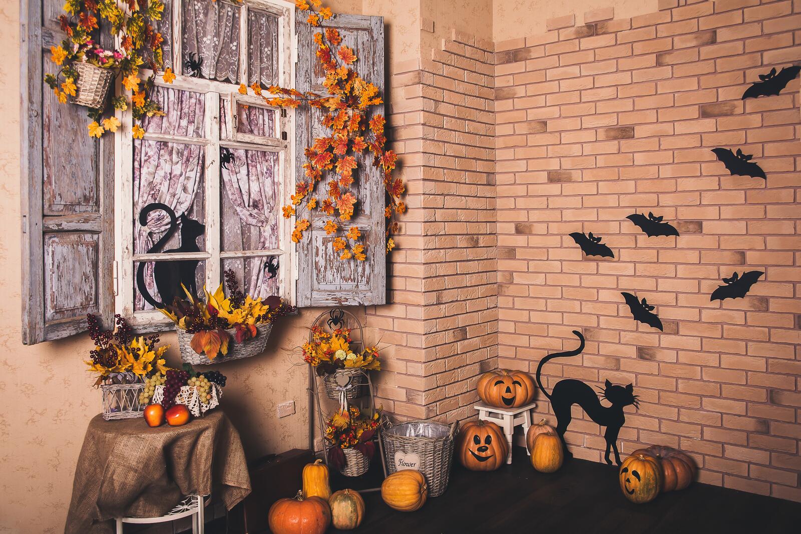 Wallpapers pumpkins Halloween bats on the desktop