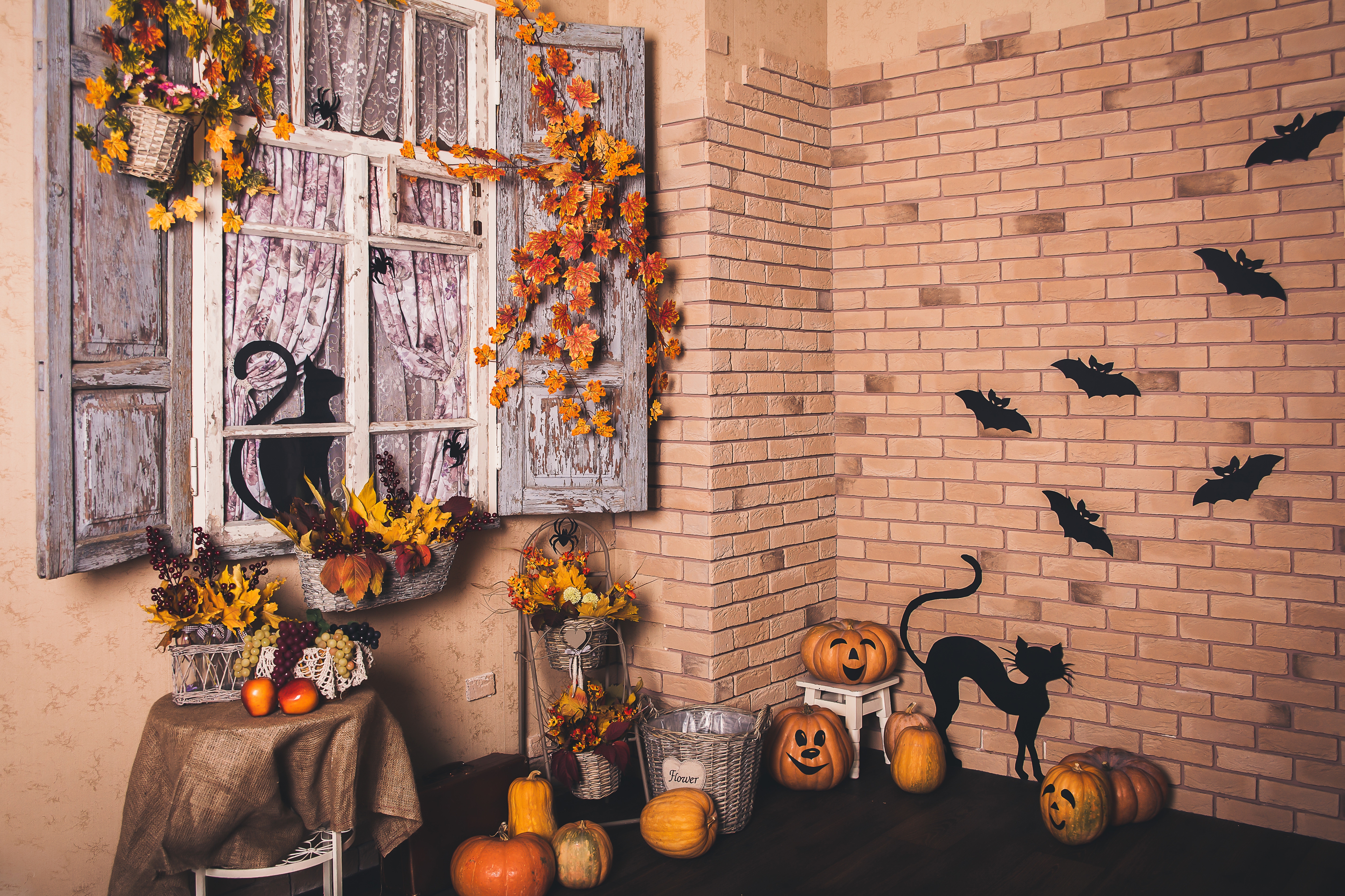Photo free pumpkins, Halloween, bats