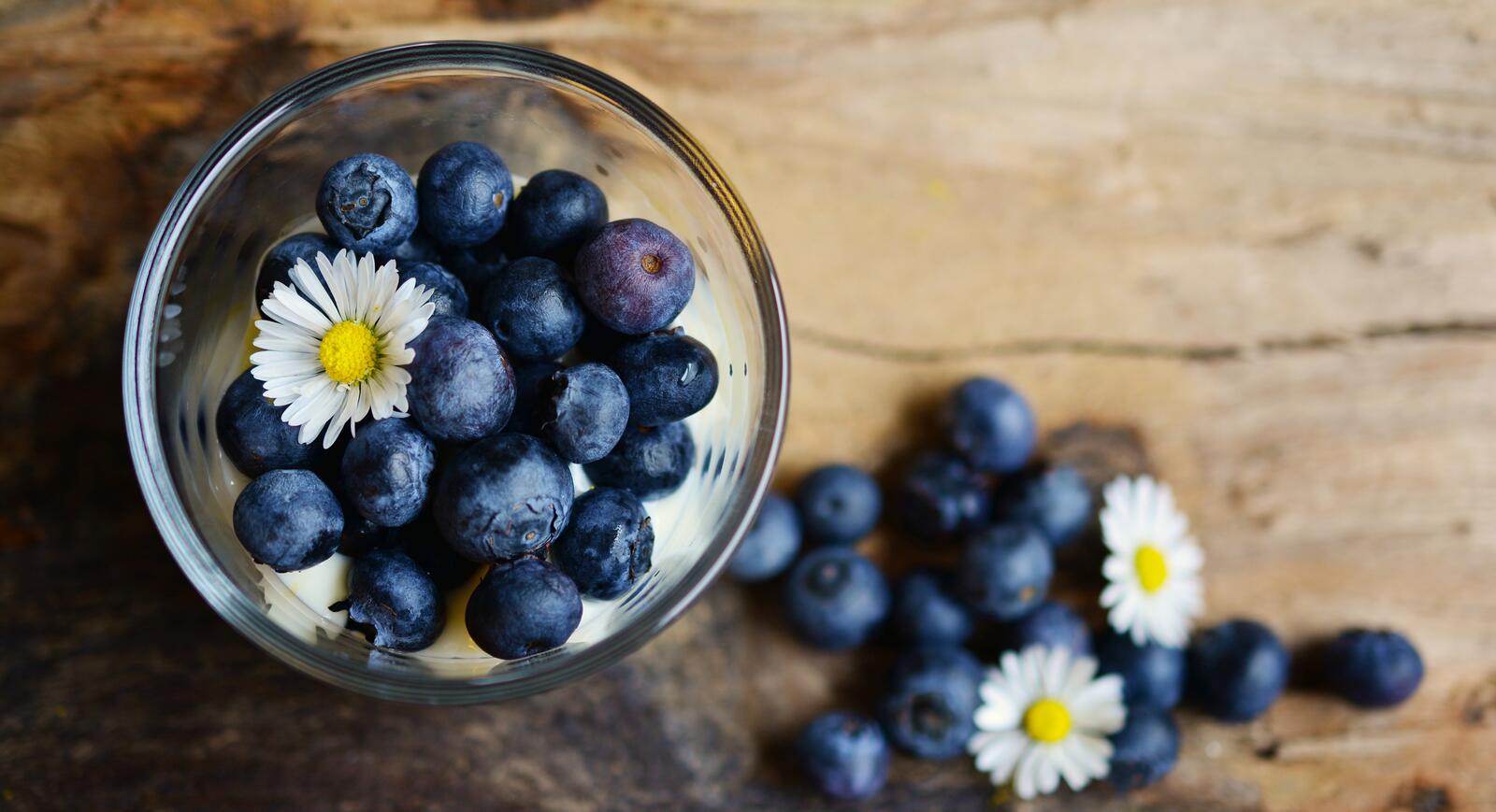 Wallpapers blueberry berries chamomile on the desktop