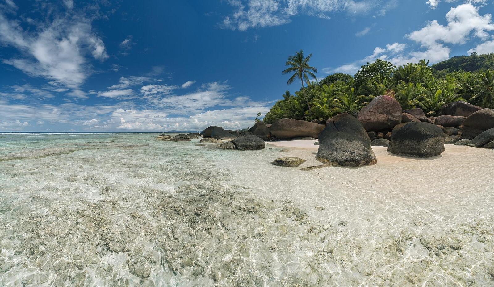 Обои море сейшельские острова пальмы на рабочий стол