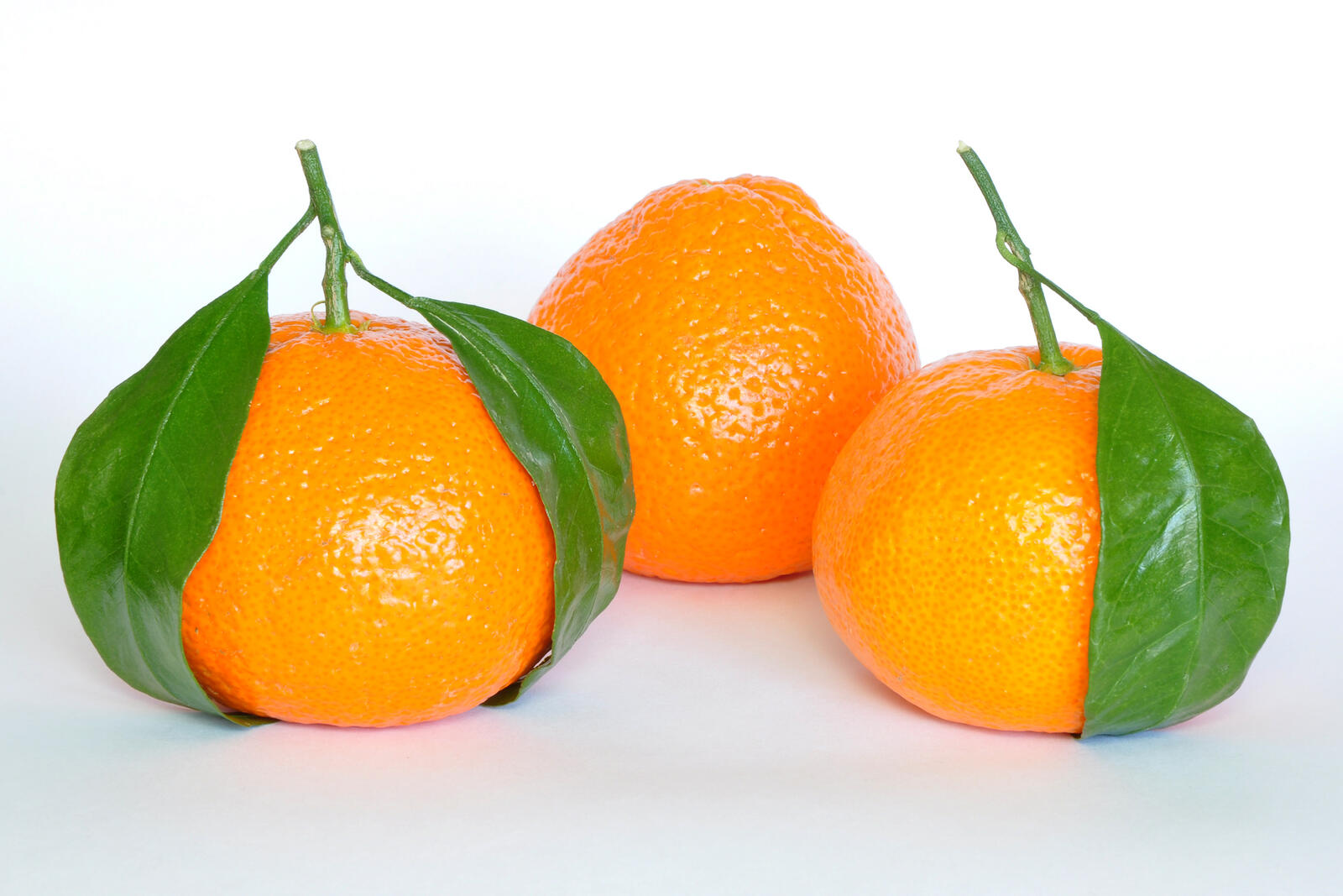 Wallpapers fresh mandarins tangerines green leaves on the desktop