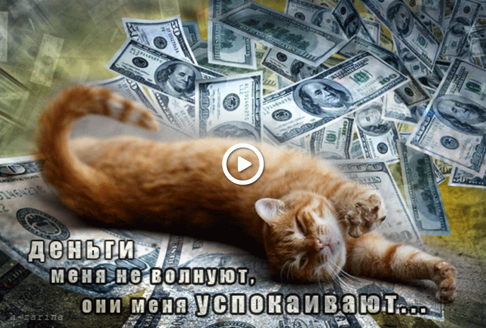 Я волновал много. Денежный котик. Открытки с изображением денег. Открытки с деньгами прикольные. Кот с деньгами.