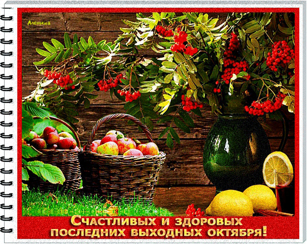 Postcard card fruits apples berries - free greetings on Fonwall