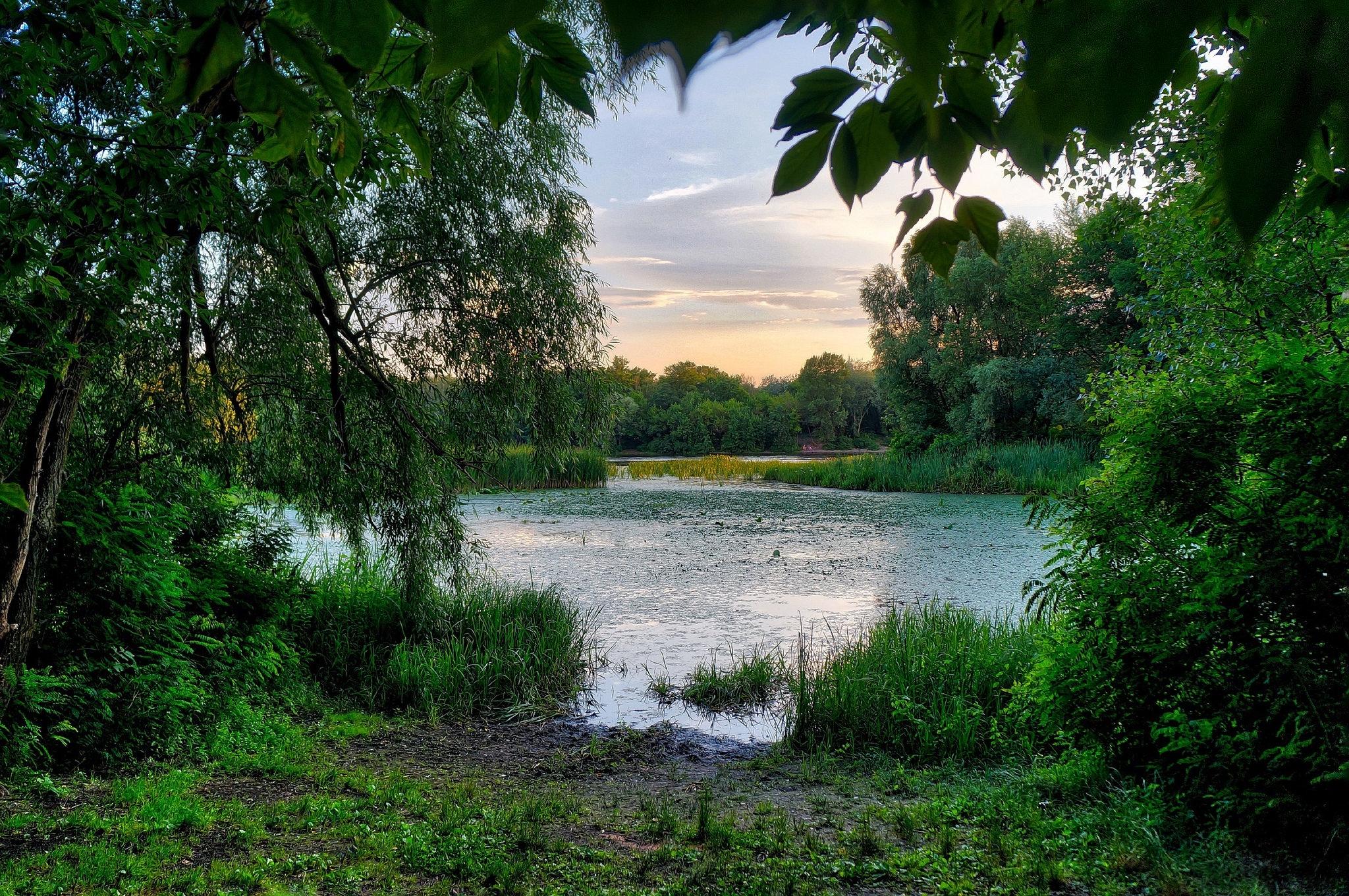 Река Смоленска заводь