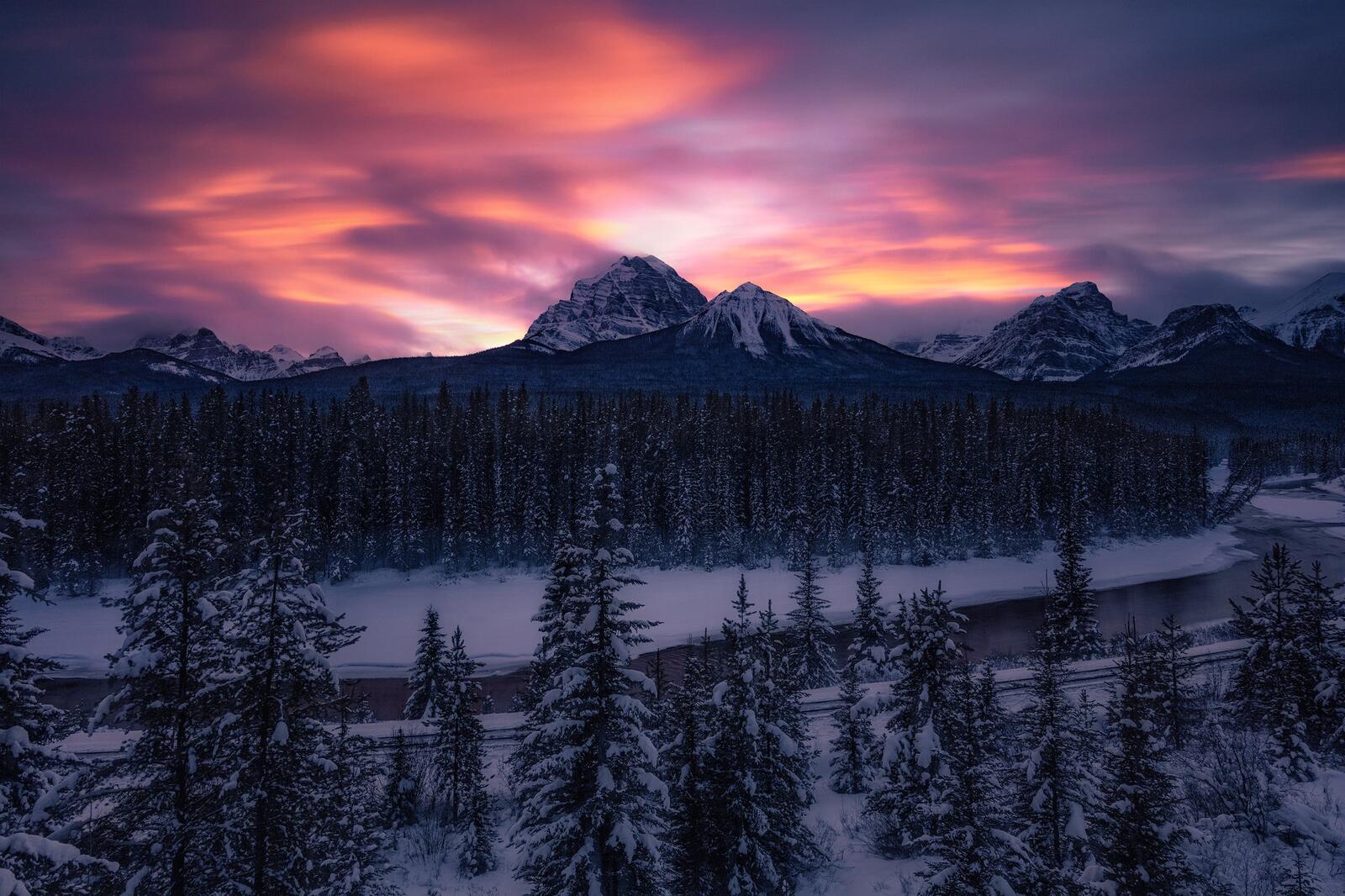 Wallpapers trees winter Banff National Park on the desktop