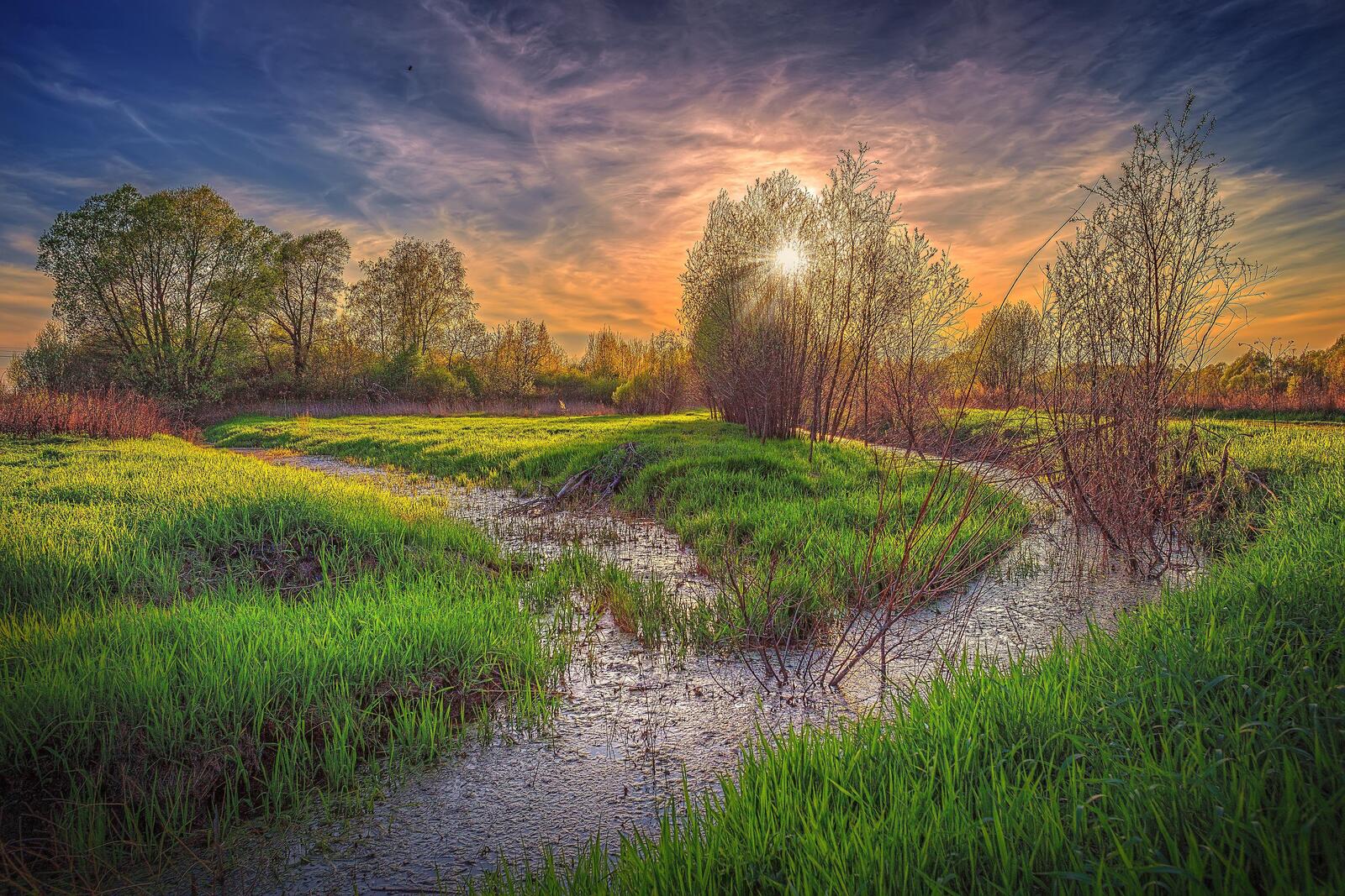 Wallpapers swamp Moscow region ditch on the desktop