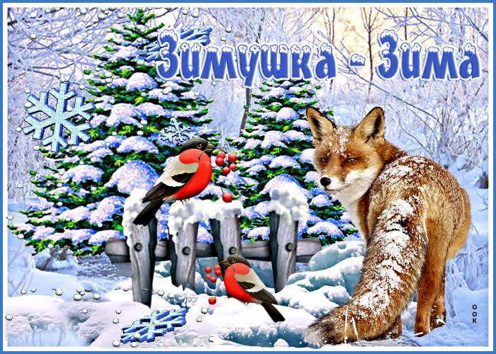 一张以美妙的冬天 圣诞树 狐狸为主题的明信片