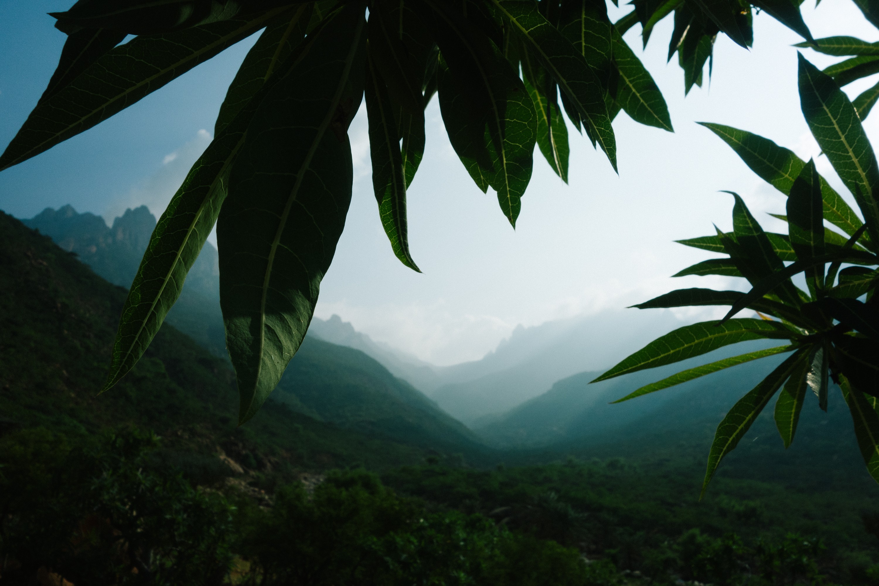 Фото бесплатно горы, джунгли, тропики