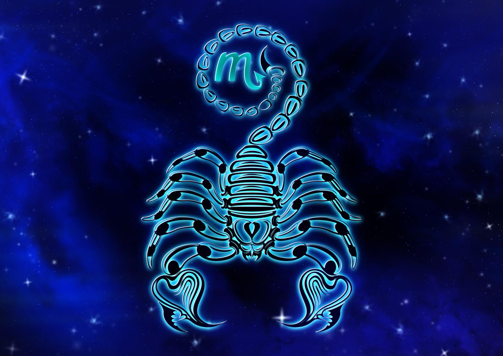 Обои скорпион знак зодиака гороскоп на рабочий стол