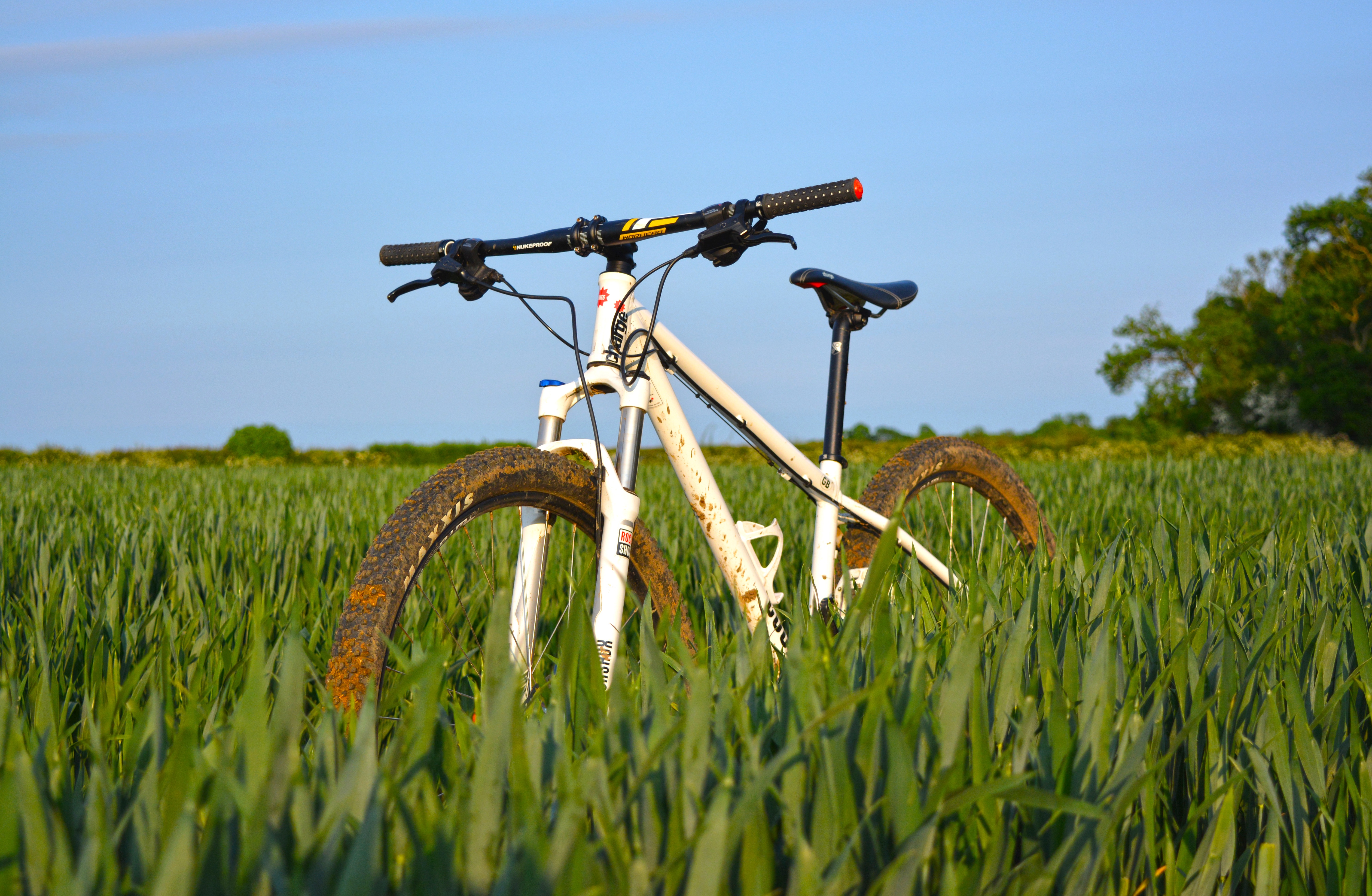 Обои поле трава велосипед на рабочий стол