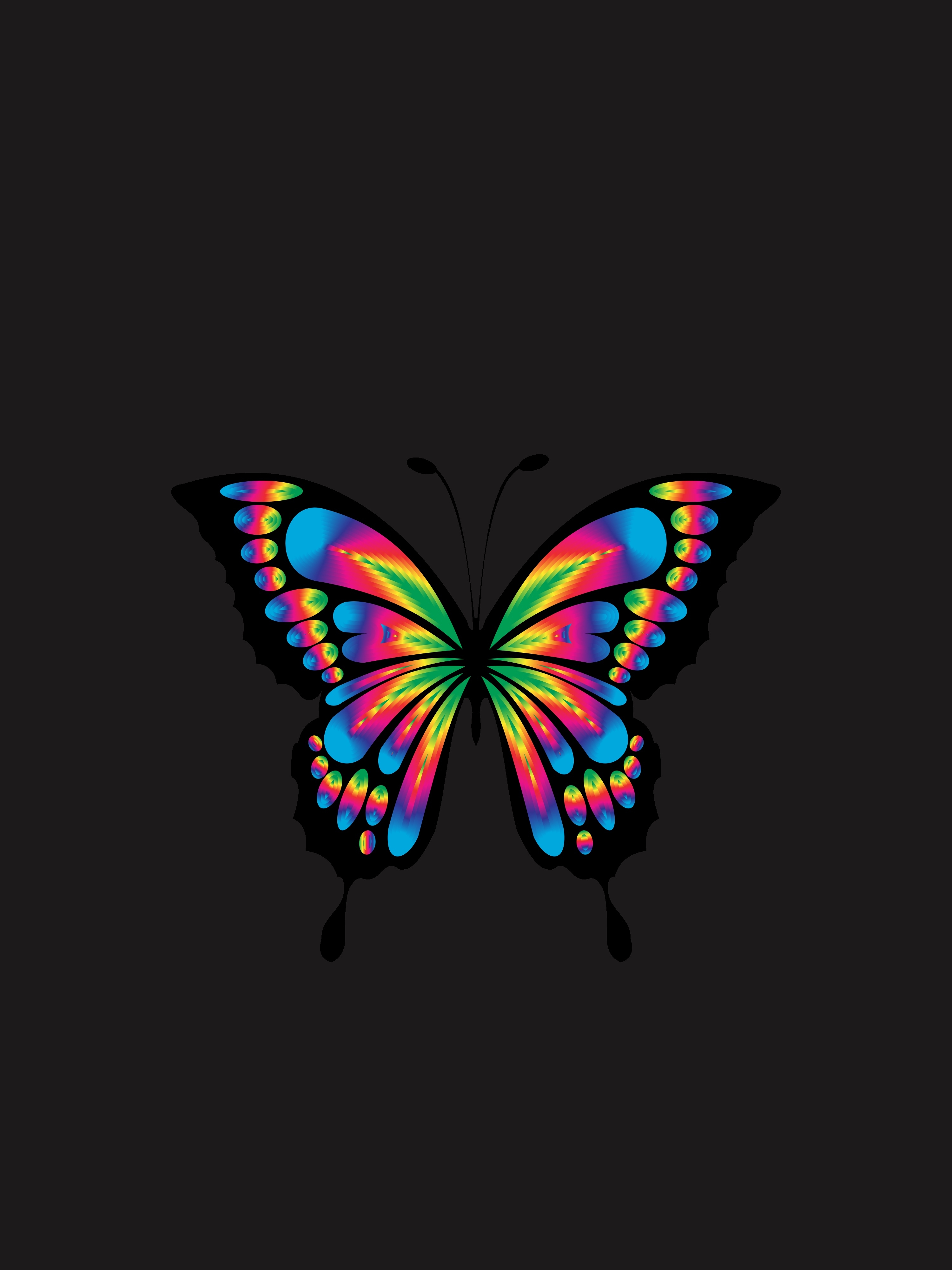 Фото бесплатно обои бабочка, дизайн, рендеринг