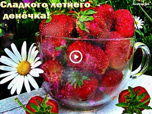 berries food romashka