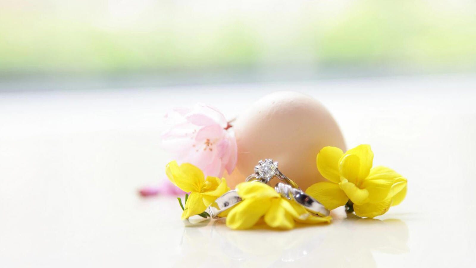 Обои еда яйца цветы на рабочий стол