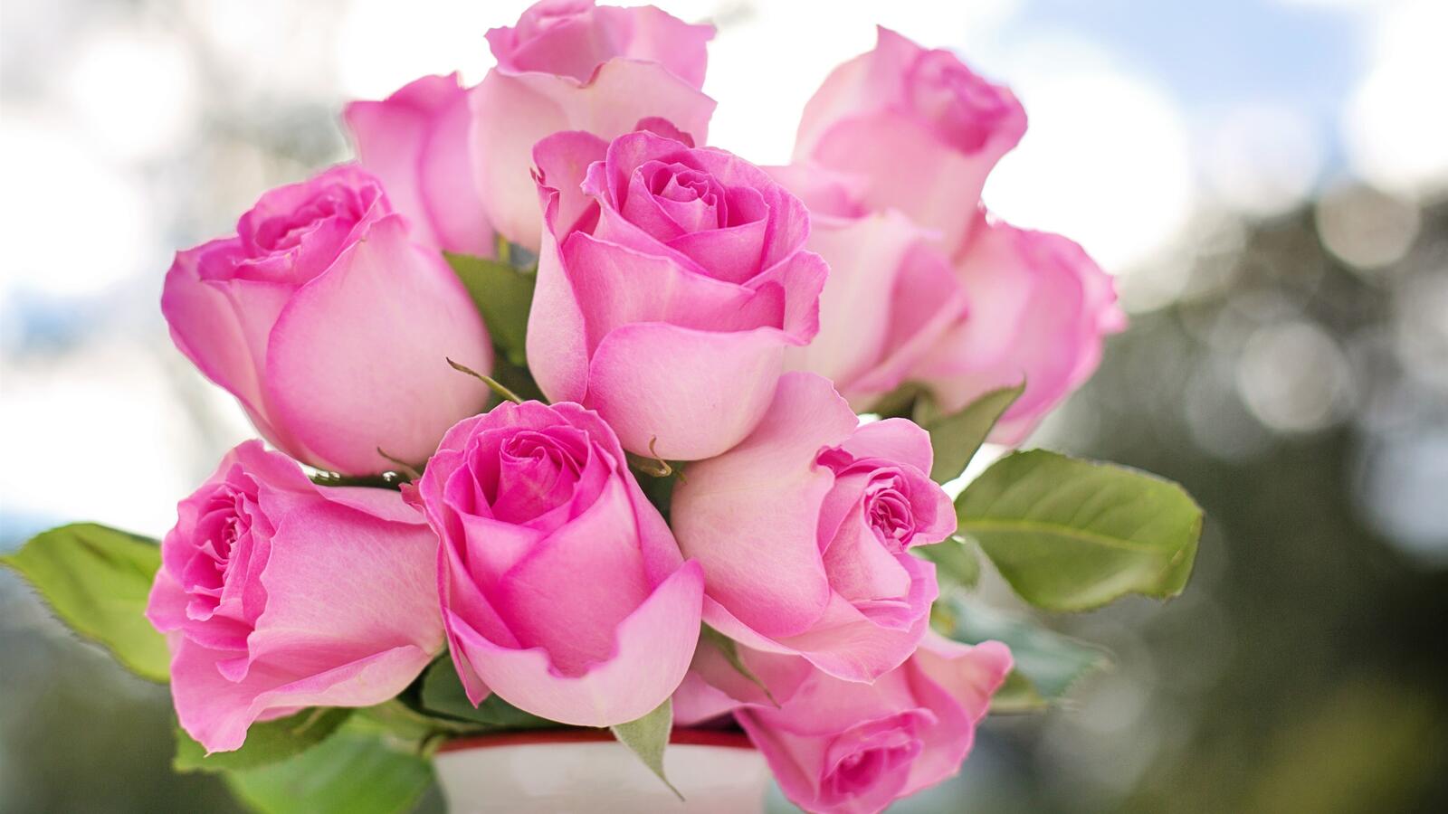 Обои розовые розы ваза размытый фон на рабочий стол