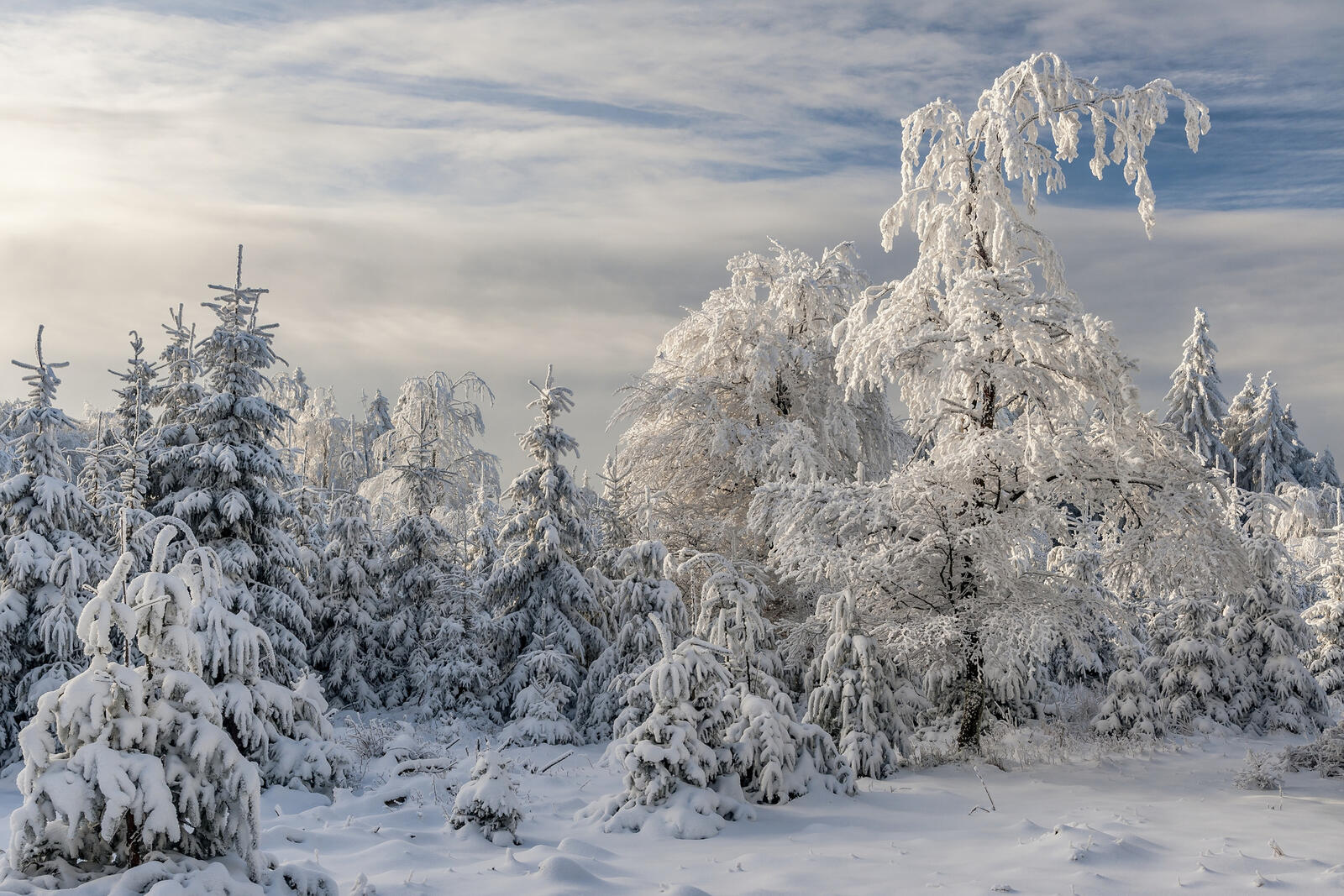 Бесплатное фото Скачать красивую заставку о сугробы, зима