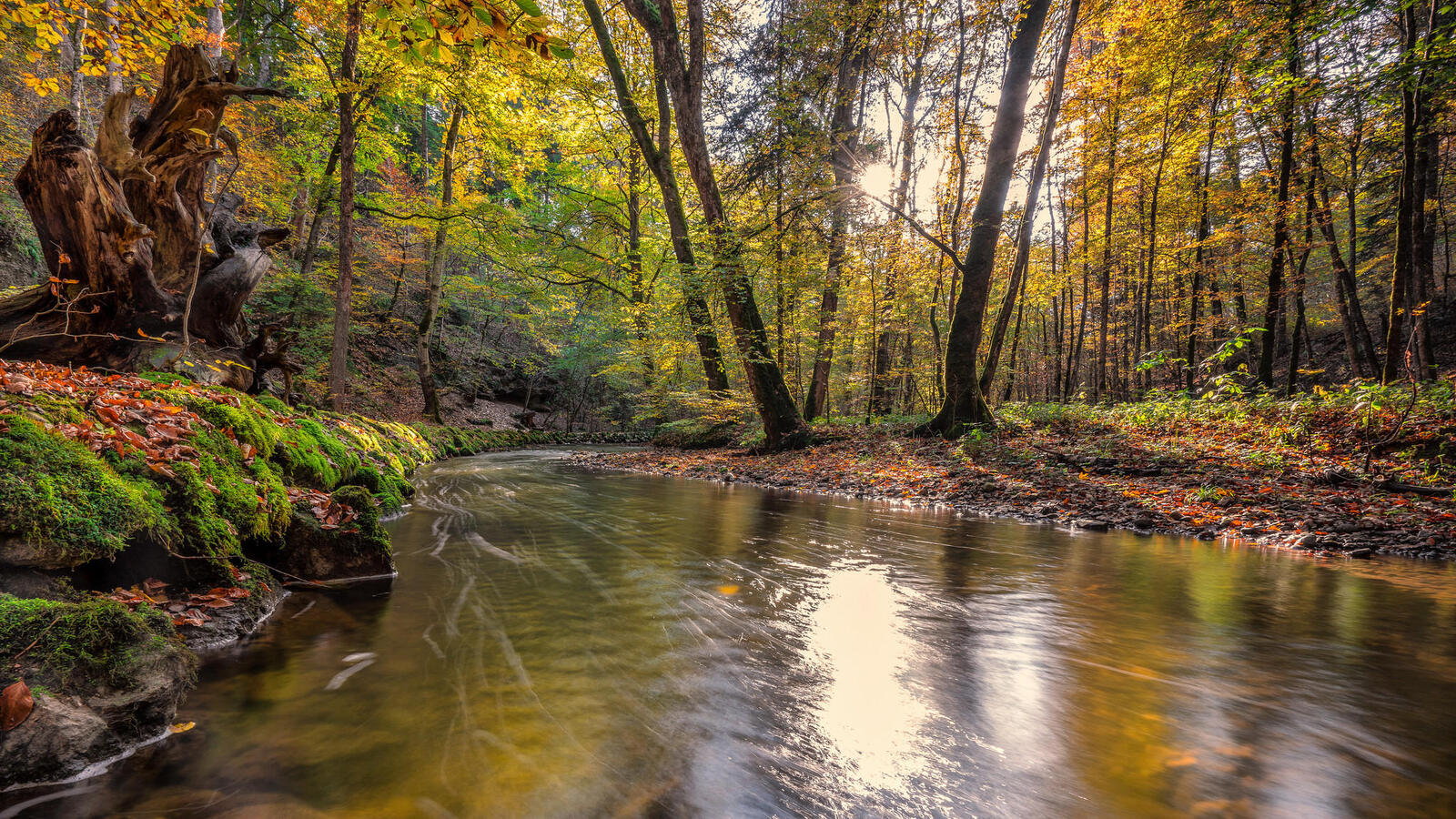 Обои речка осень река в лесу на рабочий стол