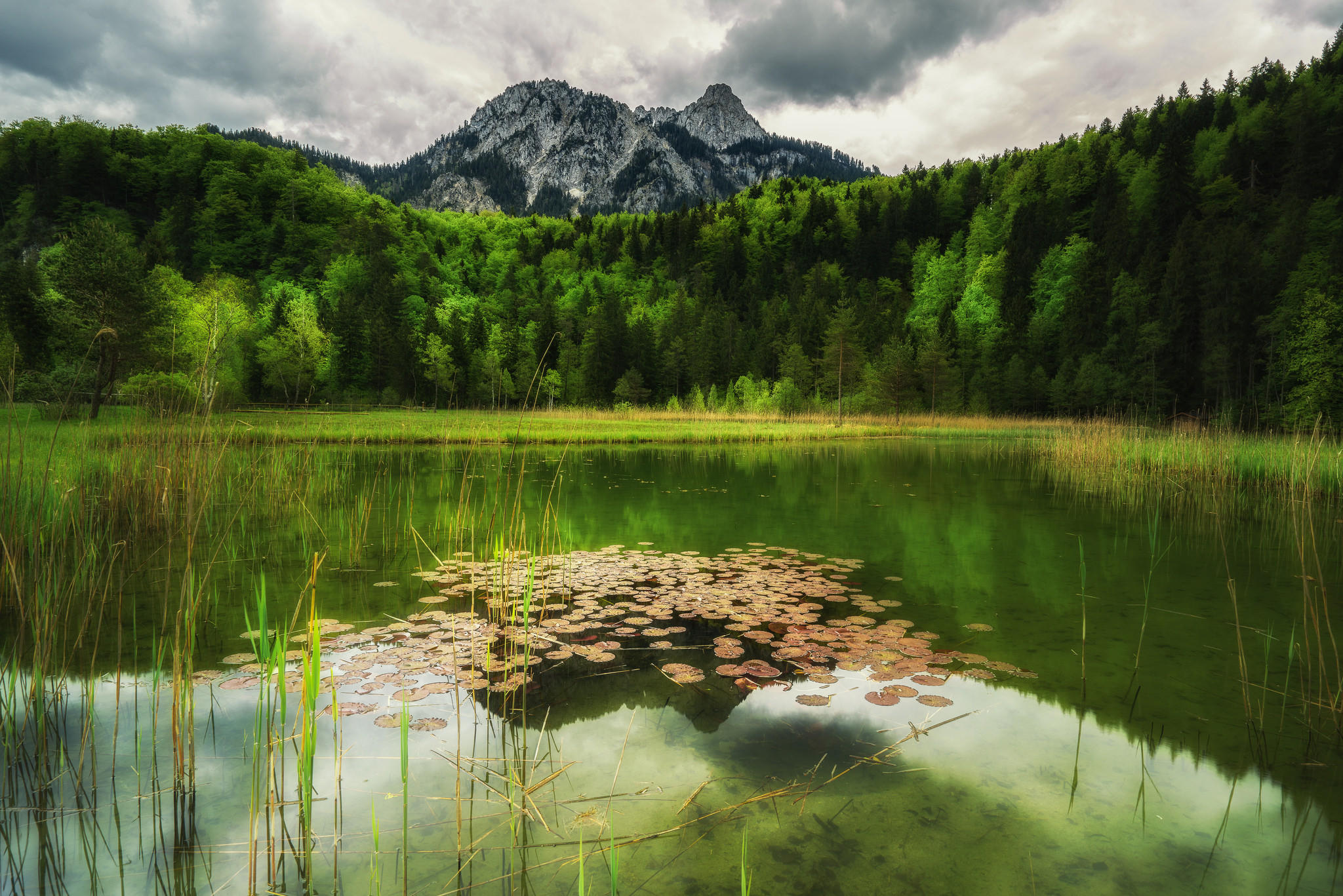 Wallpapers green foliage mountains nature on the desktop