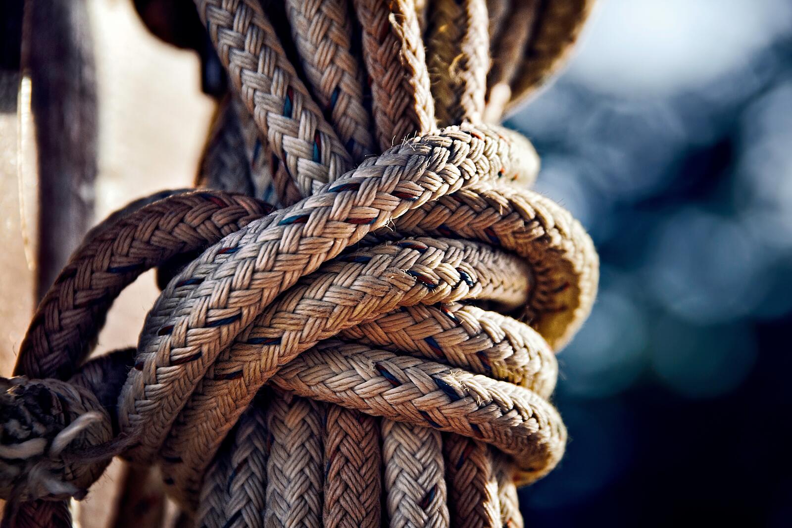 Wallpapers sea branch rope on the desktop