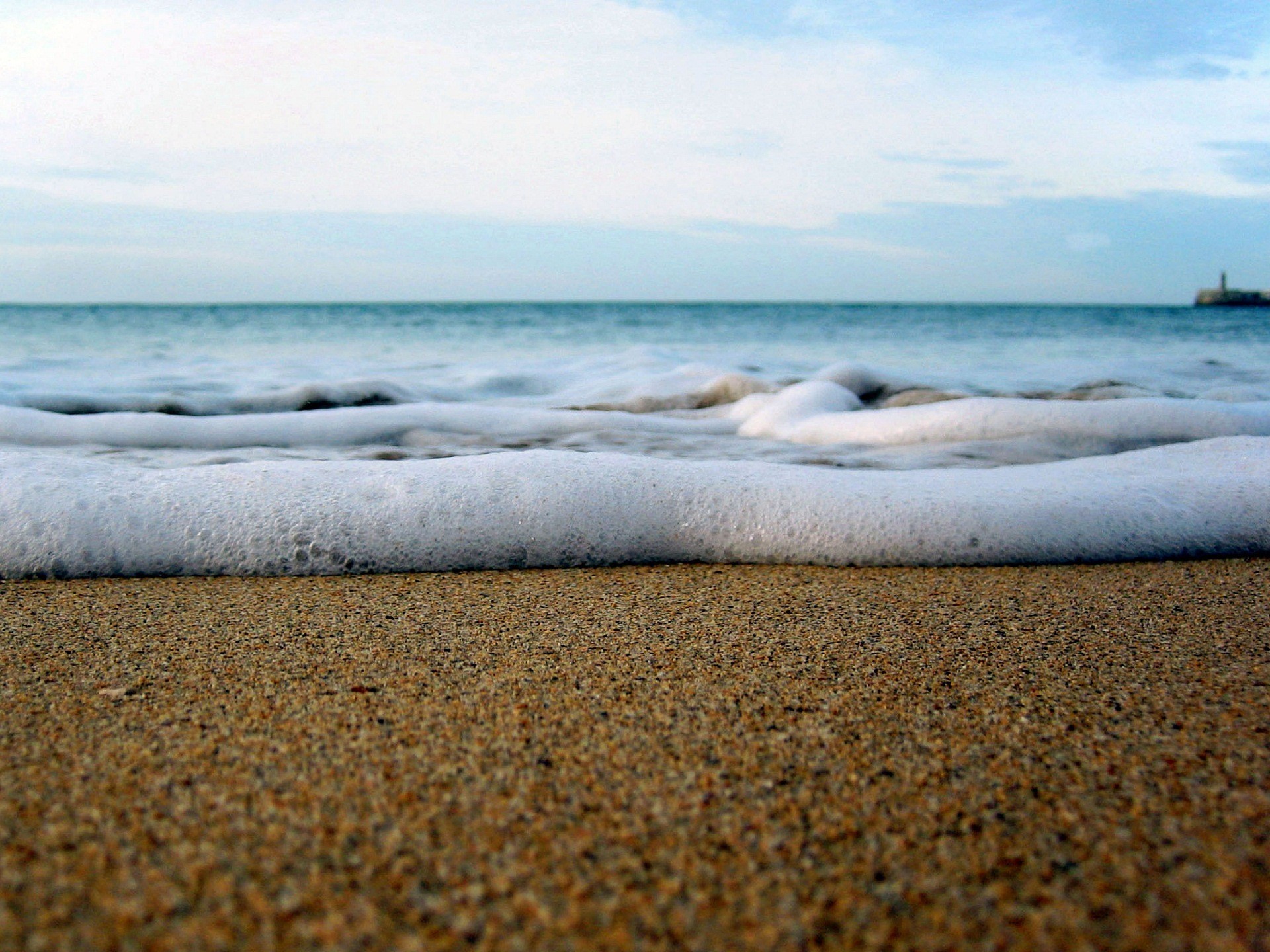 Sea foam on the shore