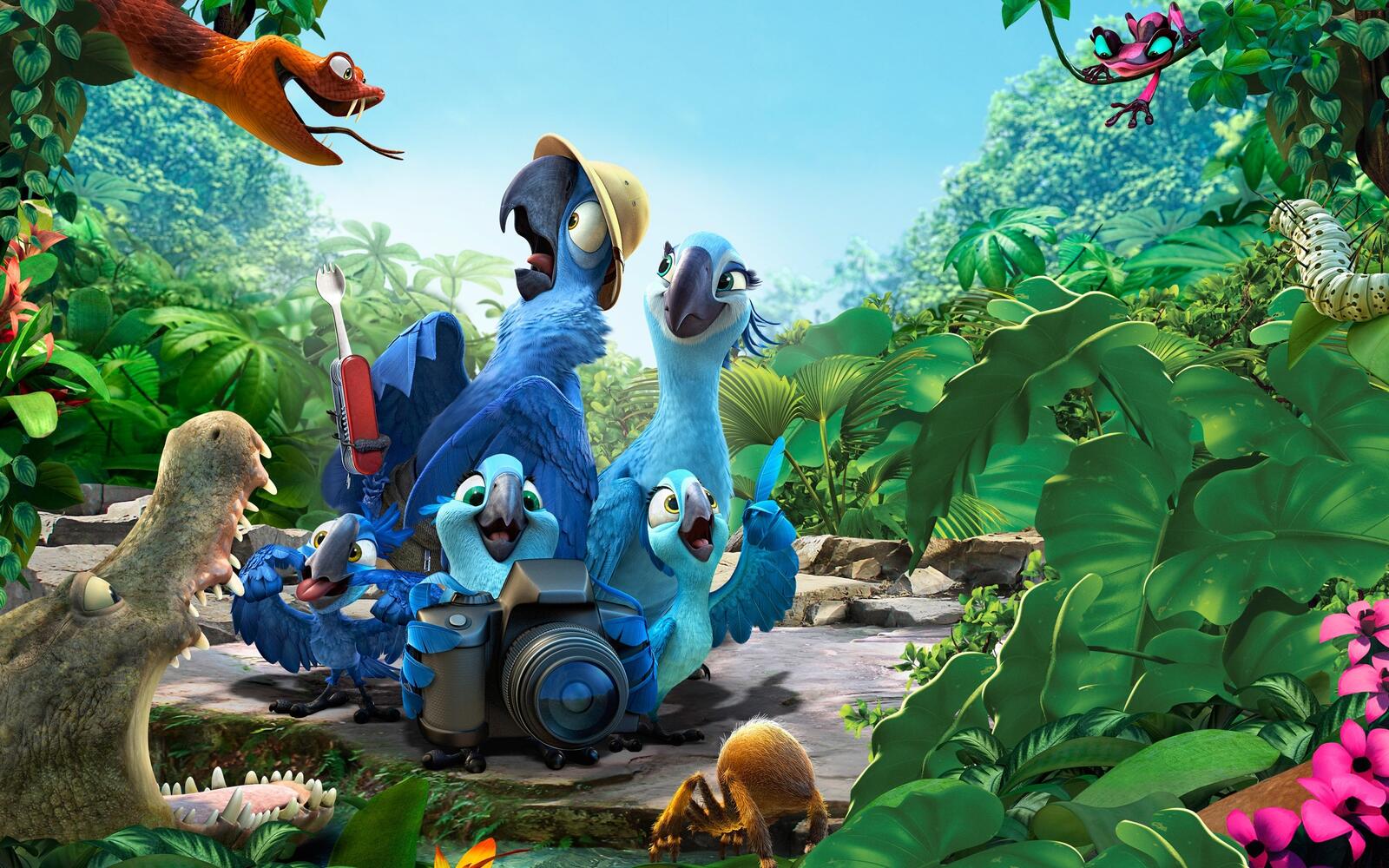 Wallpapers animation forest rio 2 on the desktop