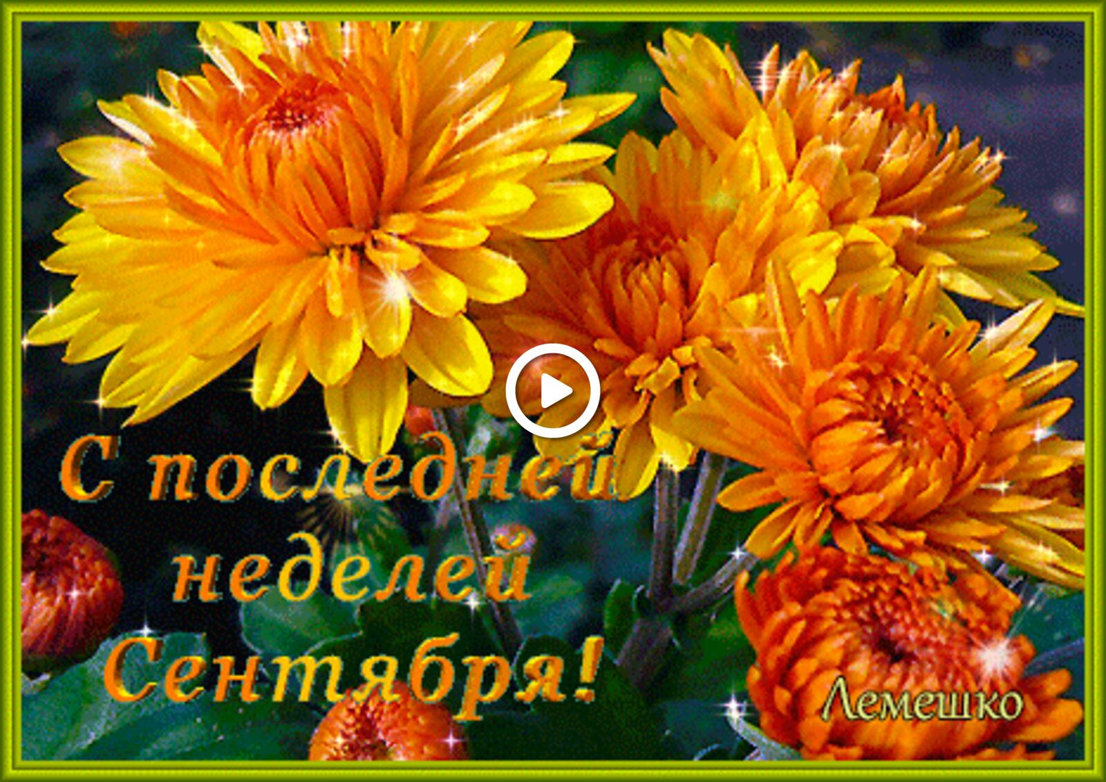 orange chrysanthemum bouquet 3-d text last day of september