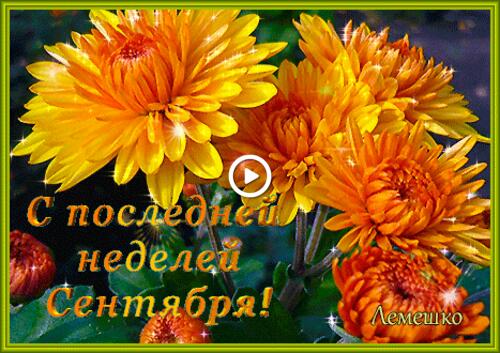 orange chrysanthemum bouquet 3-d text last day of september