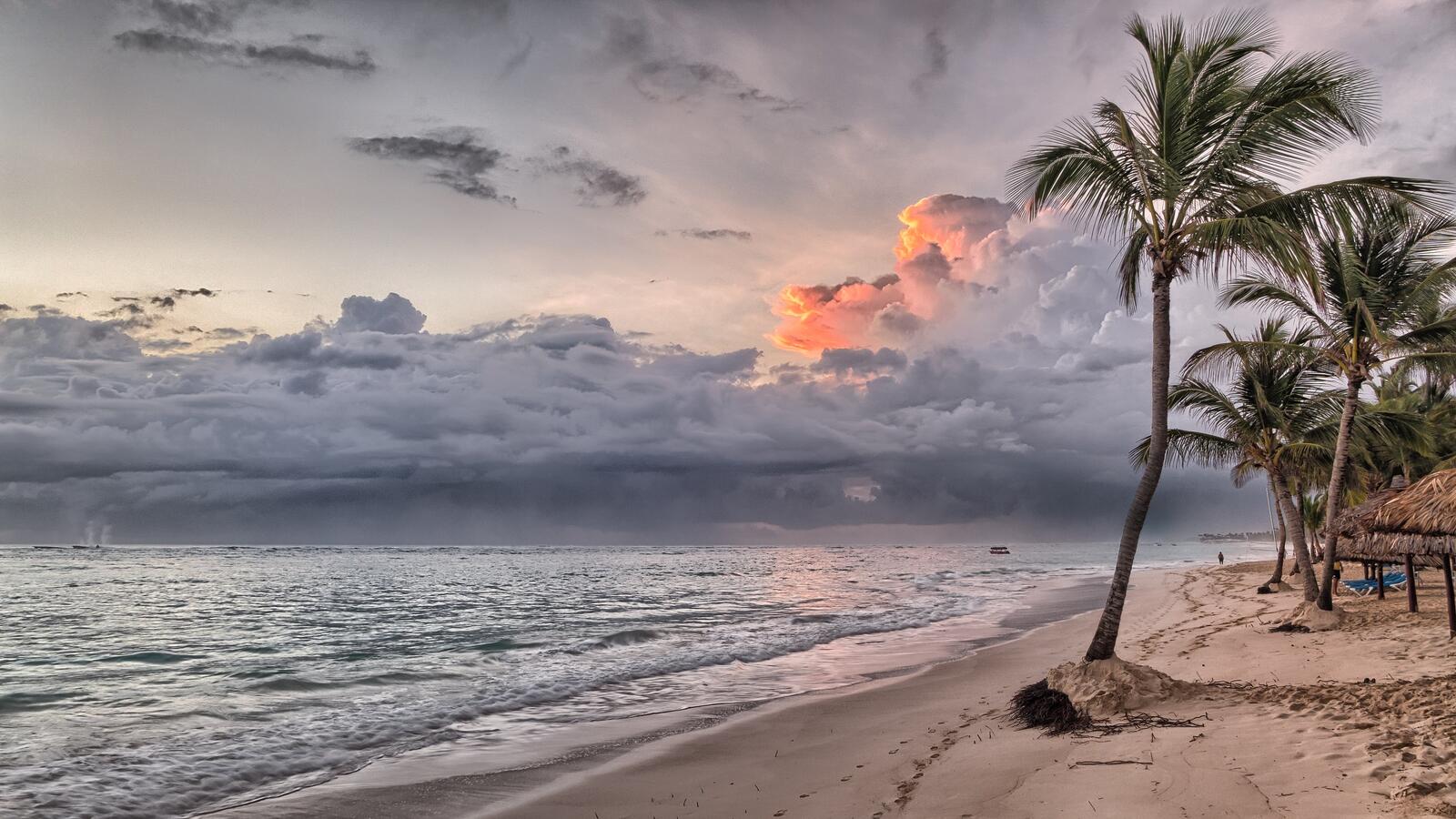 桌面上的壁纸海滩 多米尼加共和国 加勒比地区