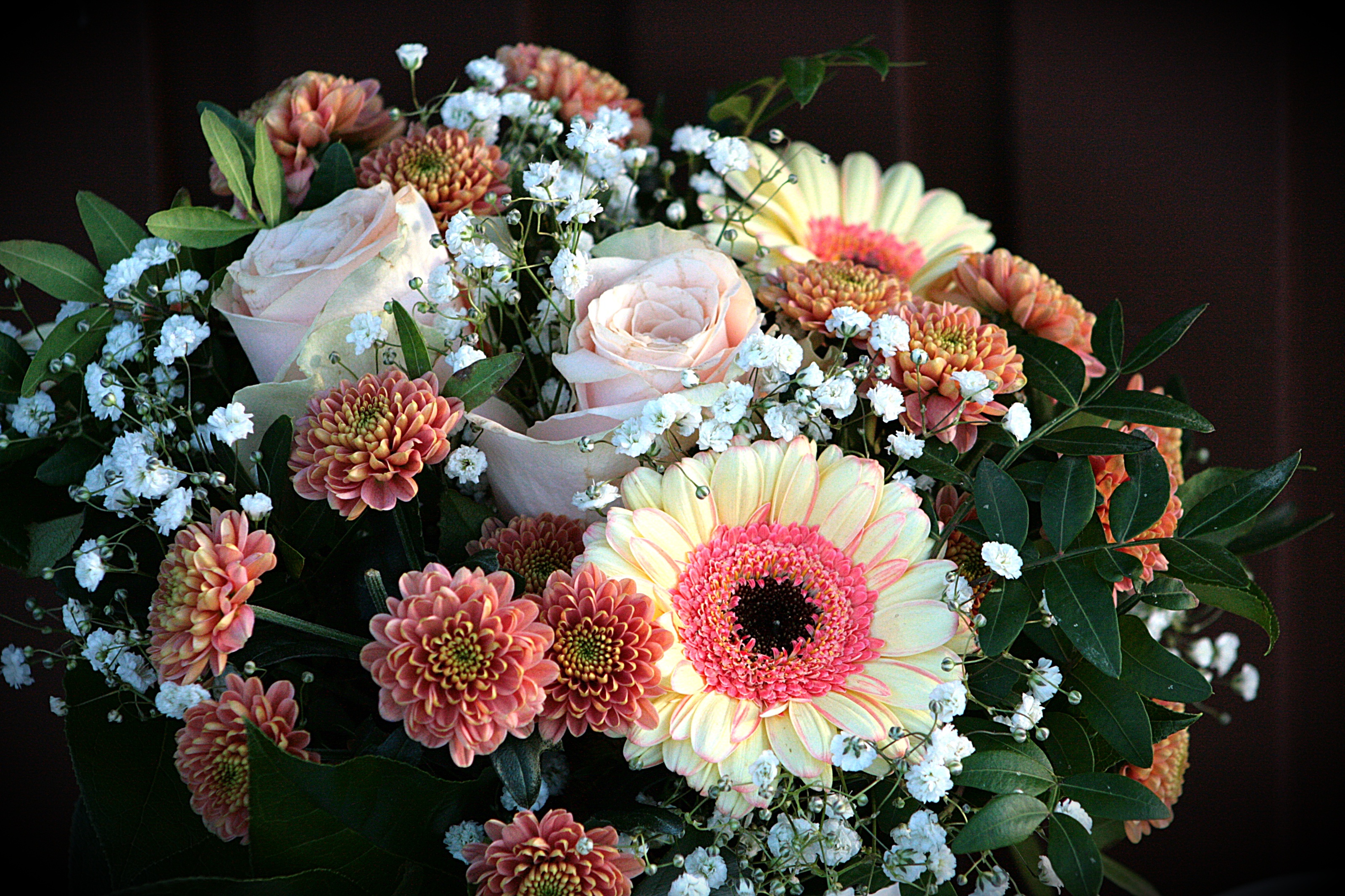 Фото бесплатно букет, цветок, цветы