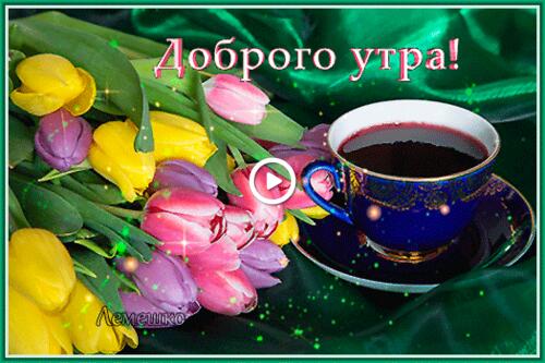 coffee Cup bouquet of colorful tulips good morning pictures