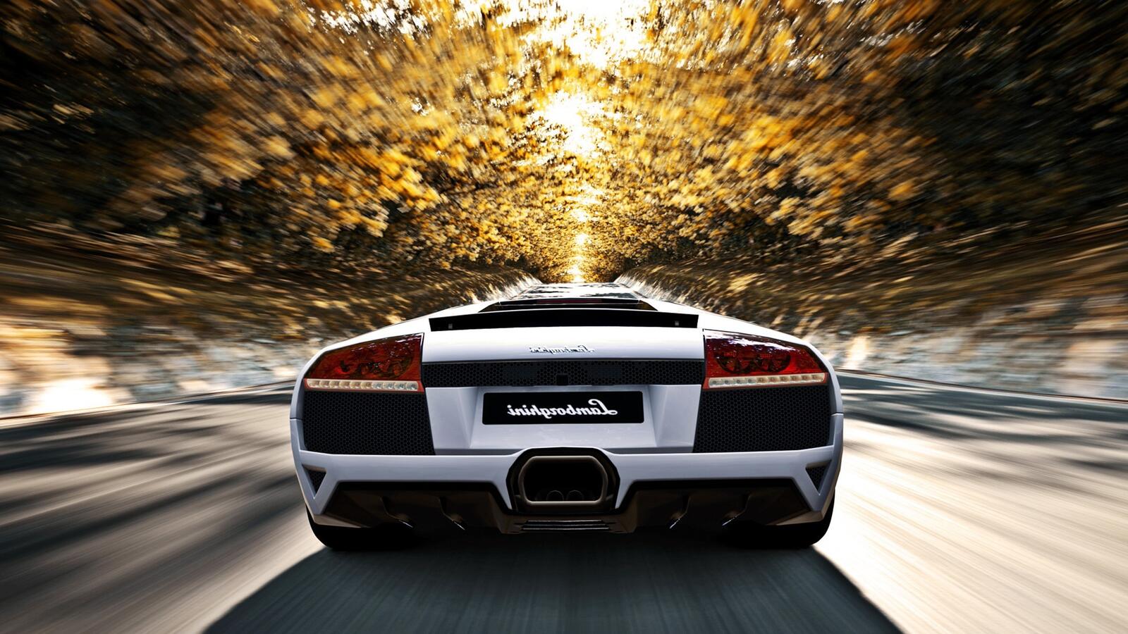 Free photo White Lamborghini rear view